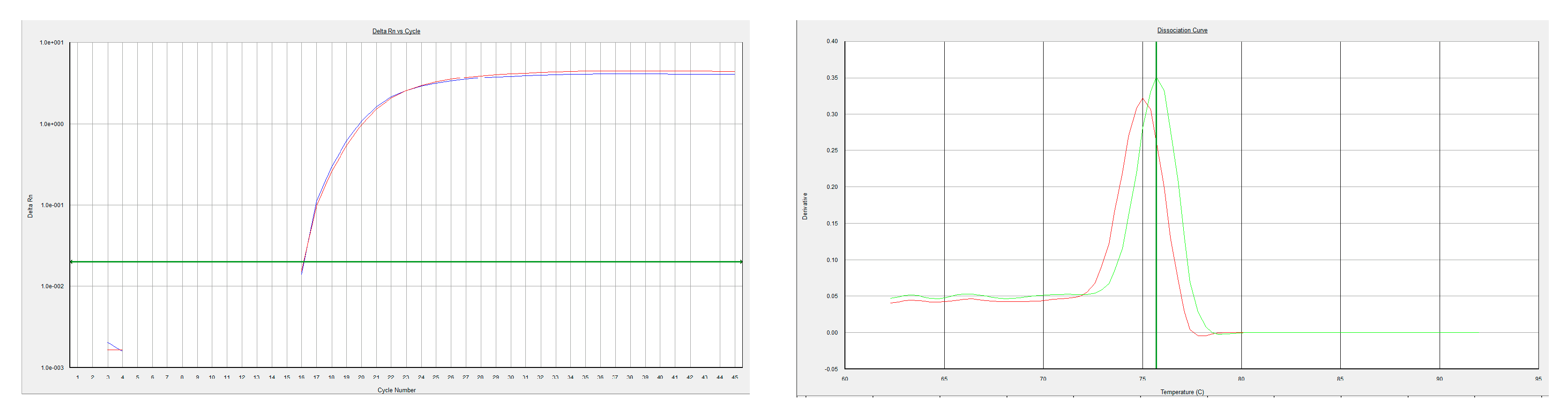 Viruses 14 01841 g004