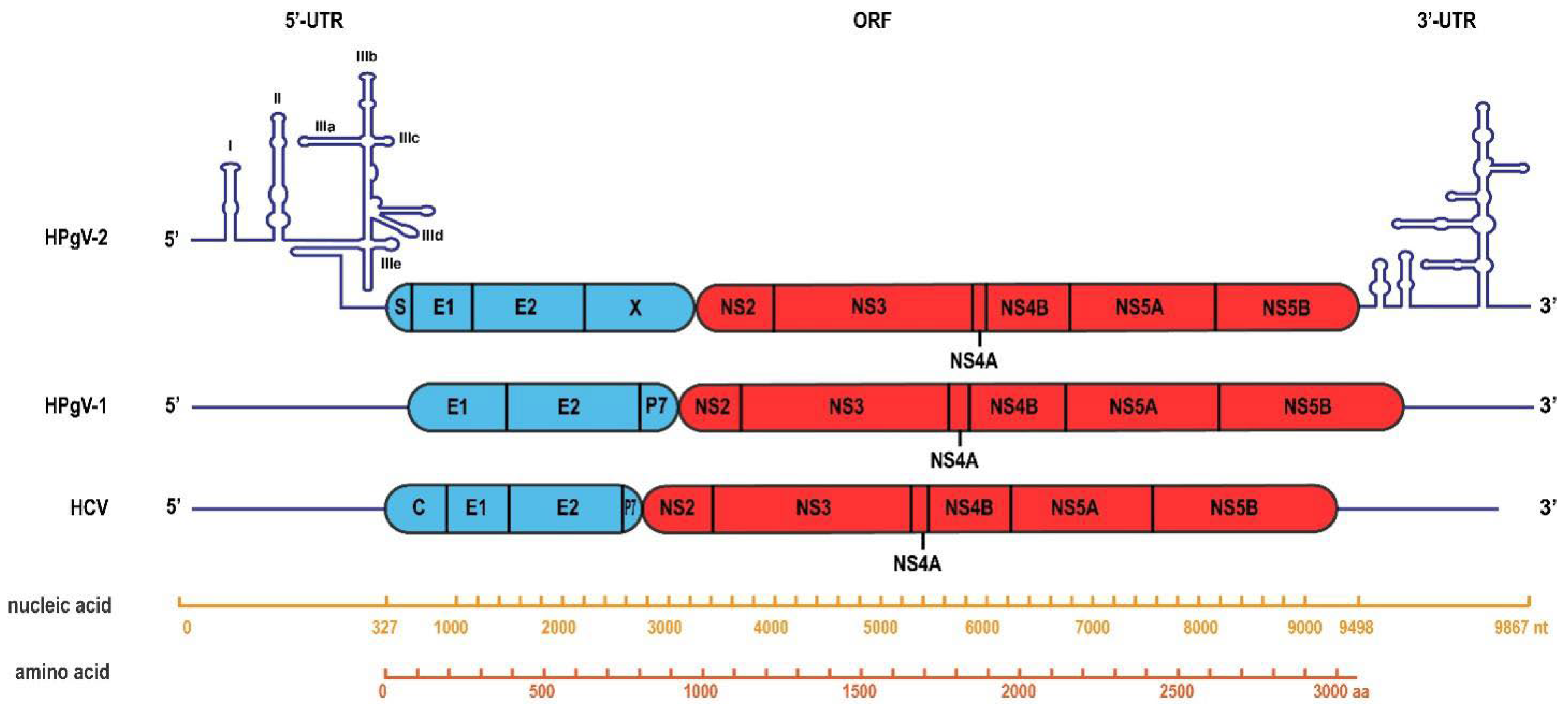 Viruses 14 01844 g001