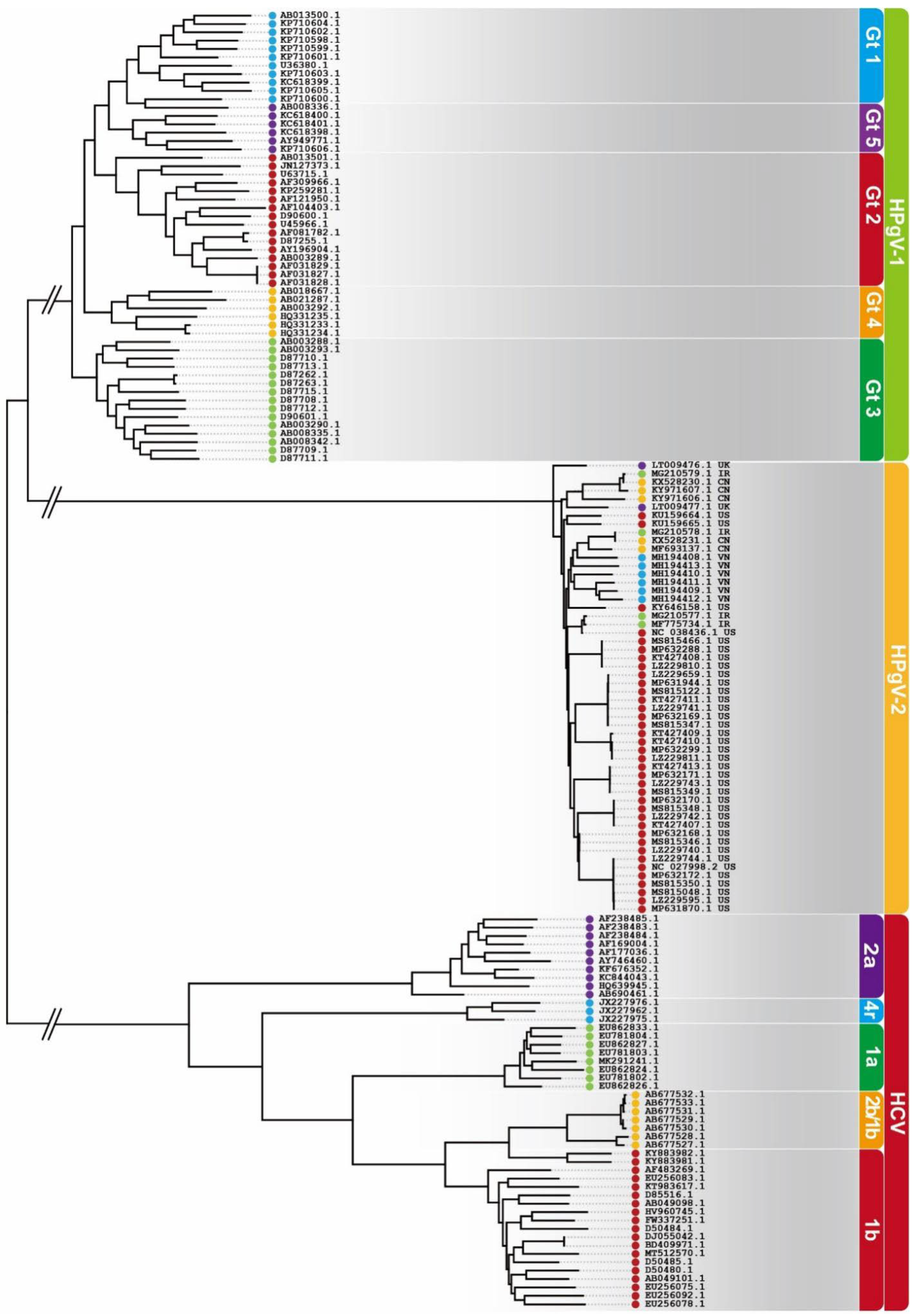 Viruses 14 01844 g003