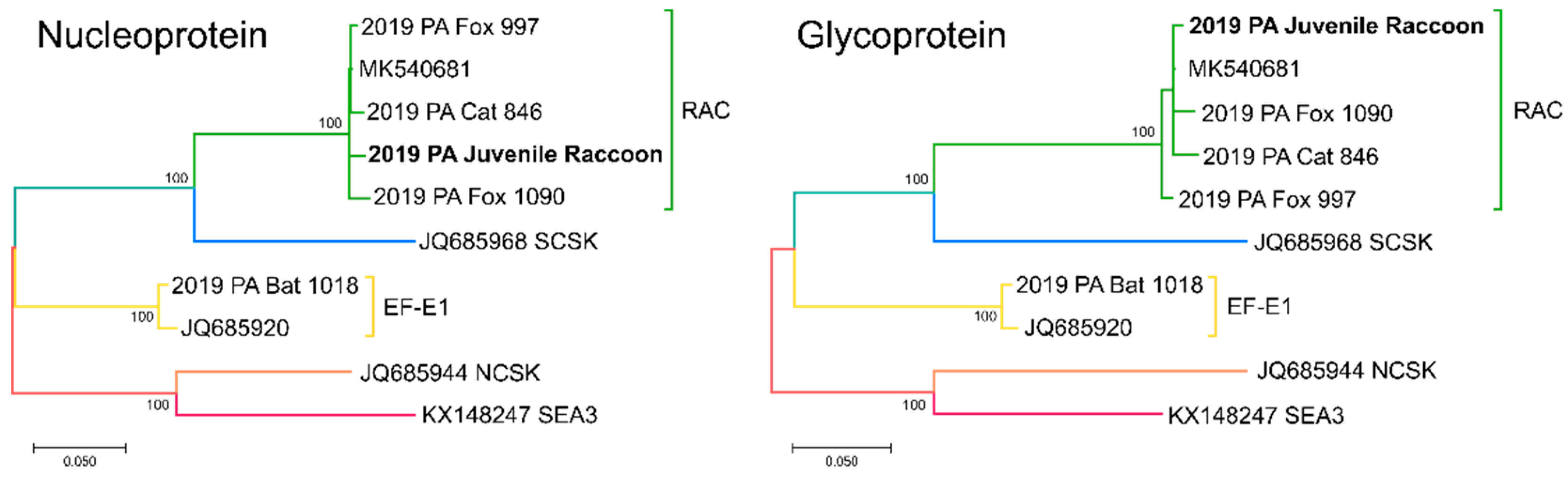 Viruses 14 01845 g003 550