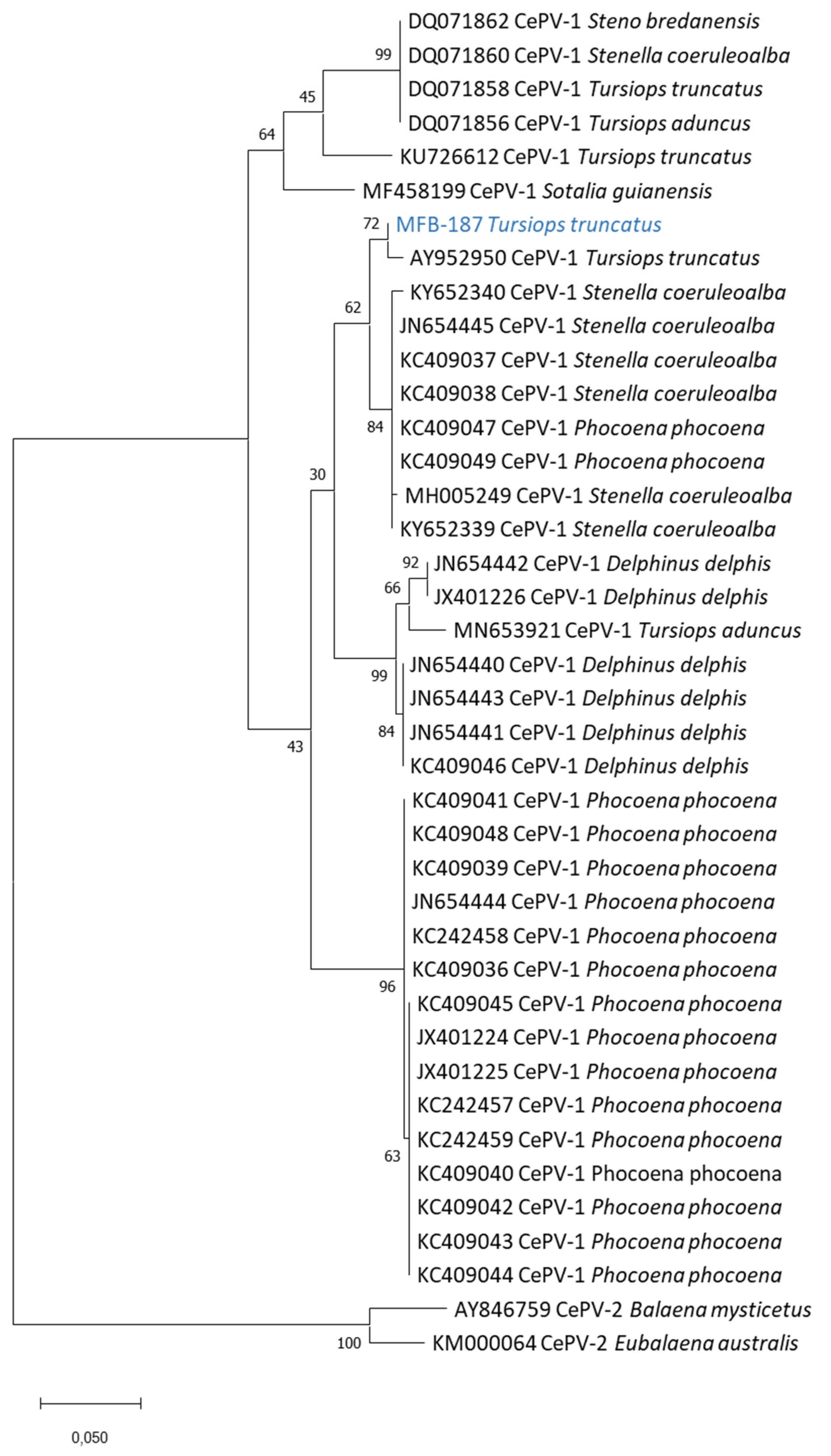 Viruses 14 01850 g003 Viruses 14 01850 g003