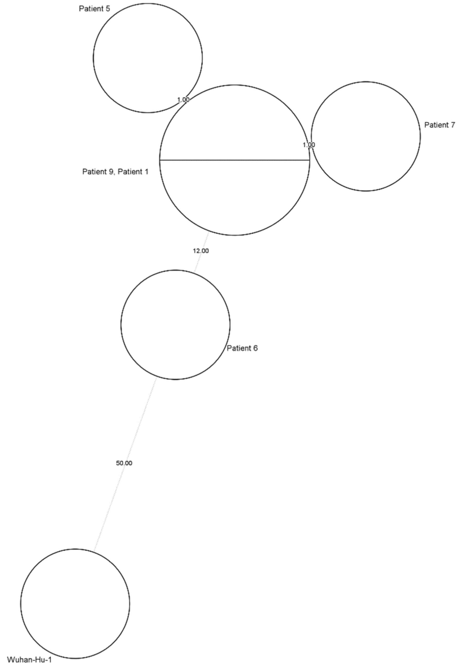 Viruses 14 01852 g003 Viruses 14 01852 g003