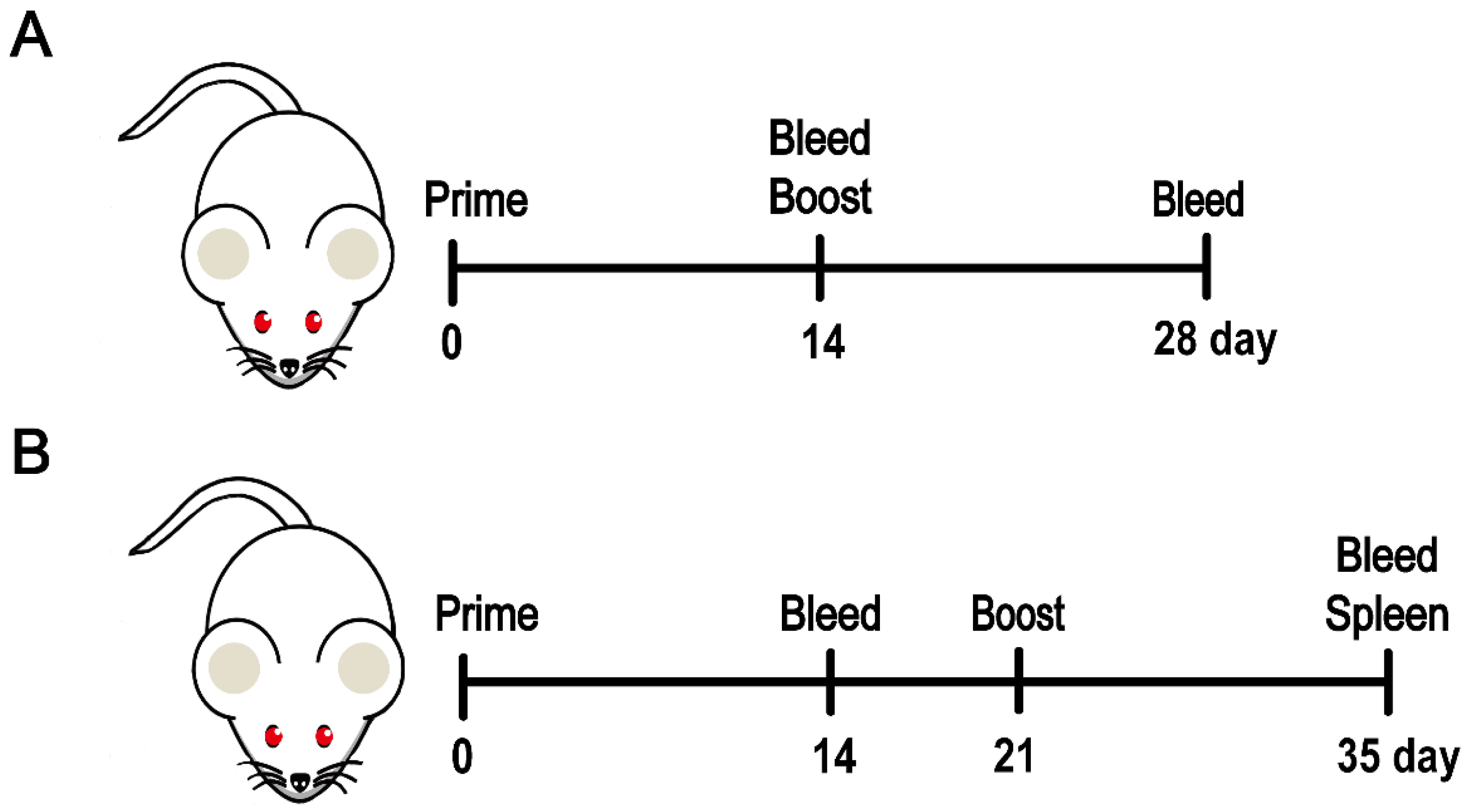 Viruses 14 01854 g002 550
