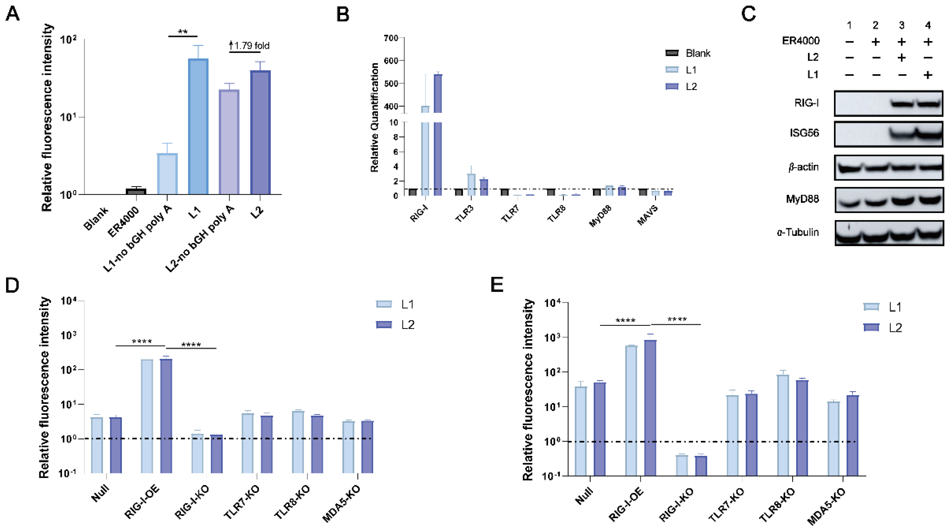 Viruses 14 01854 g003 550