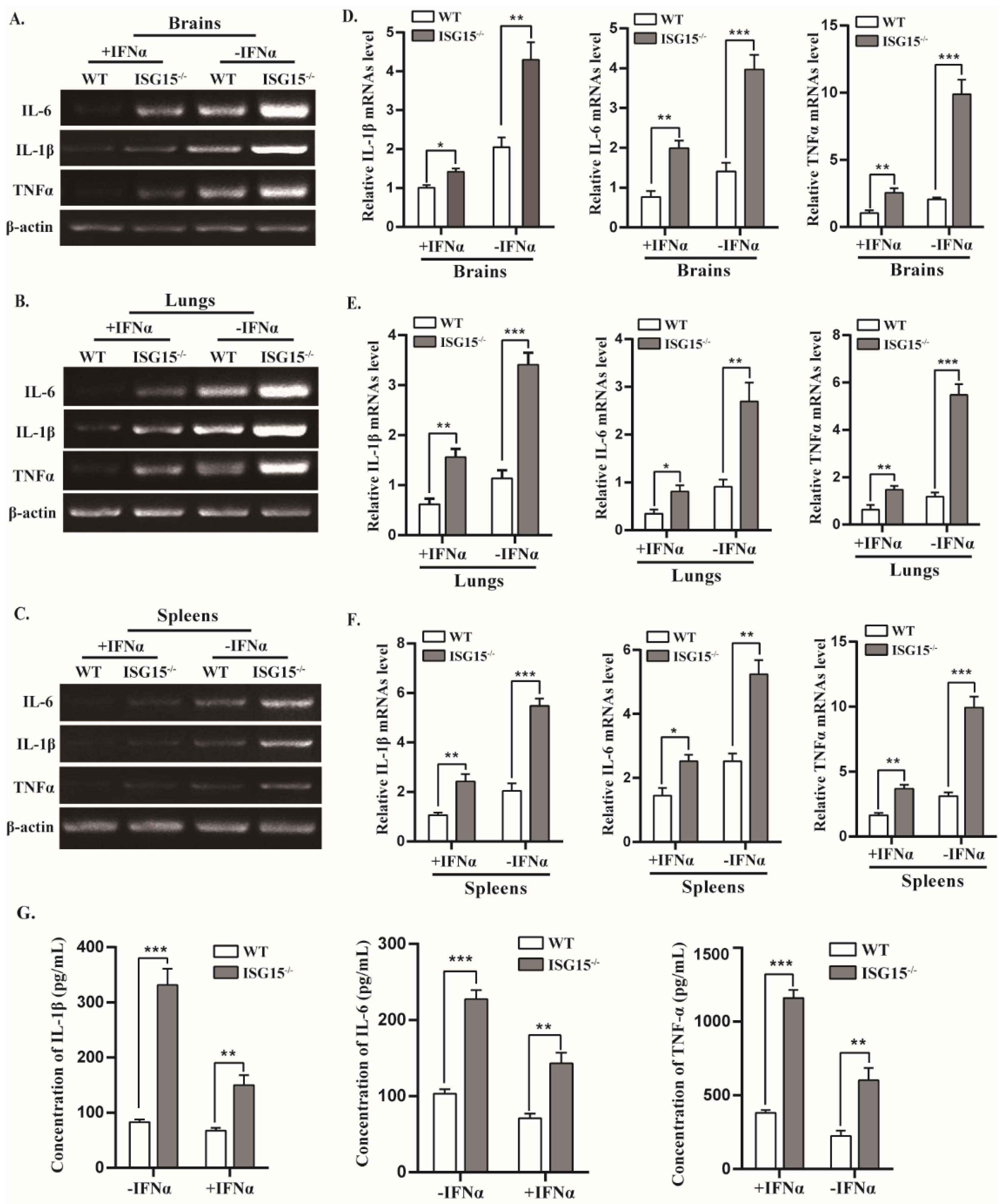 Viruses 14 01862 g005 Viruses 14 01862 g005