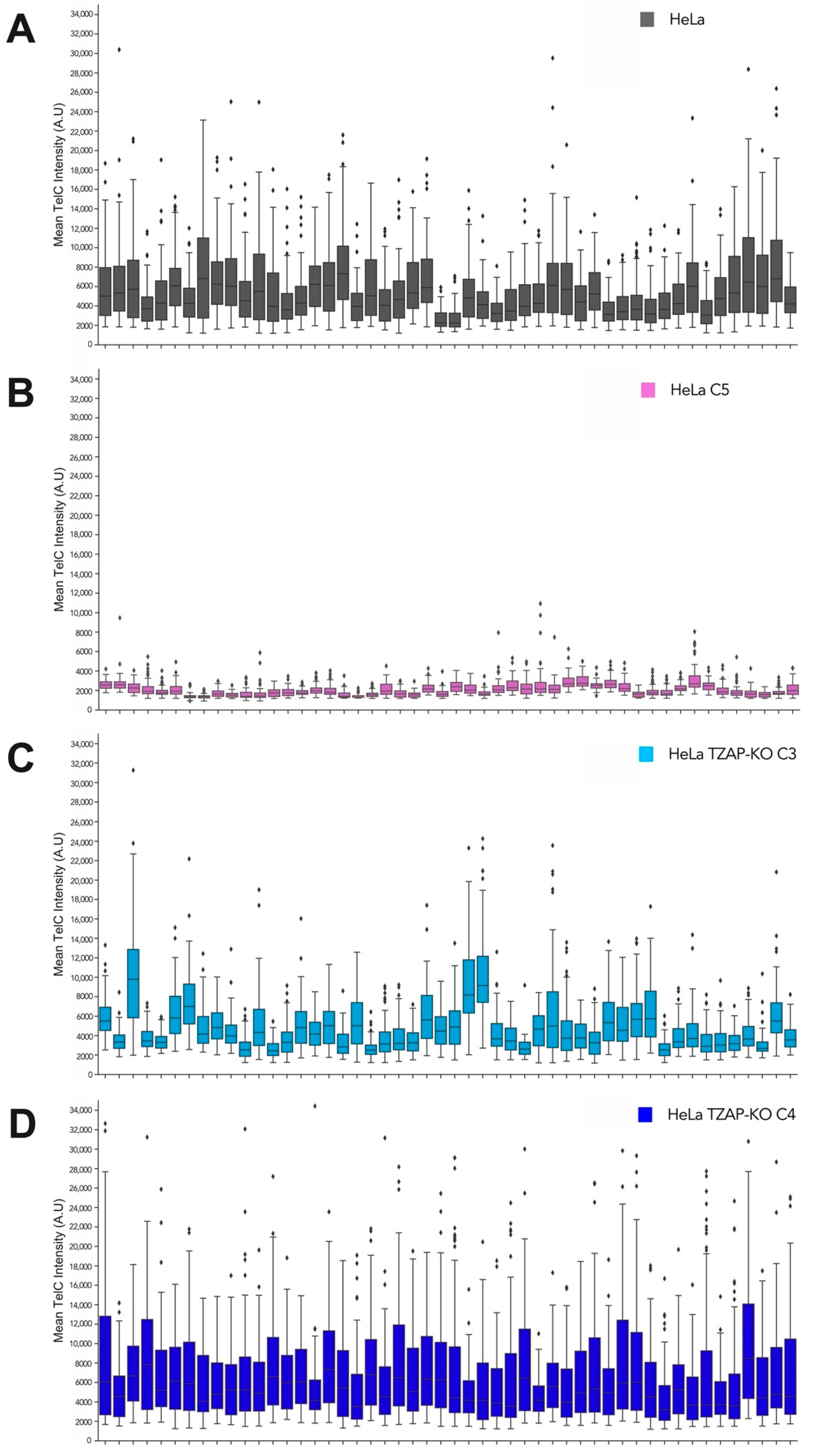 Viruses 14 01864 g002