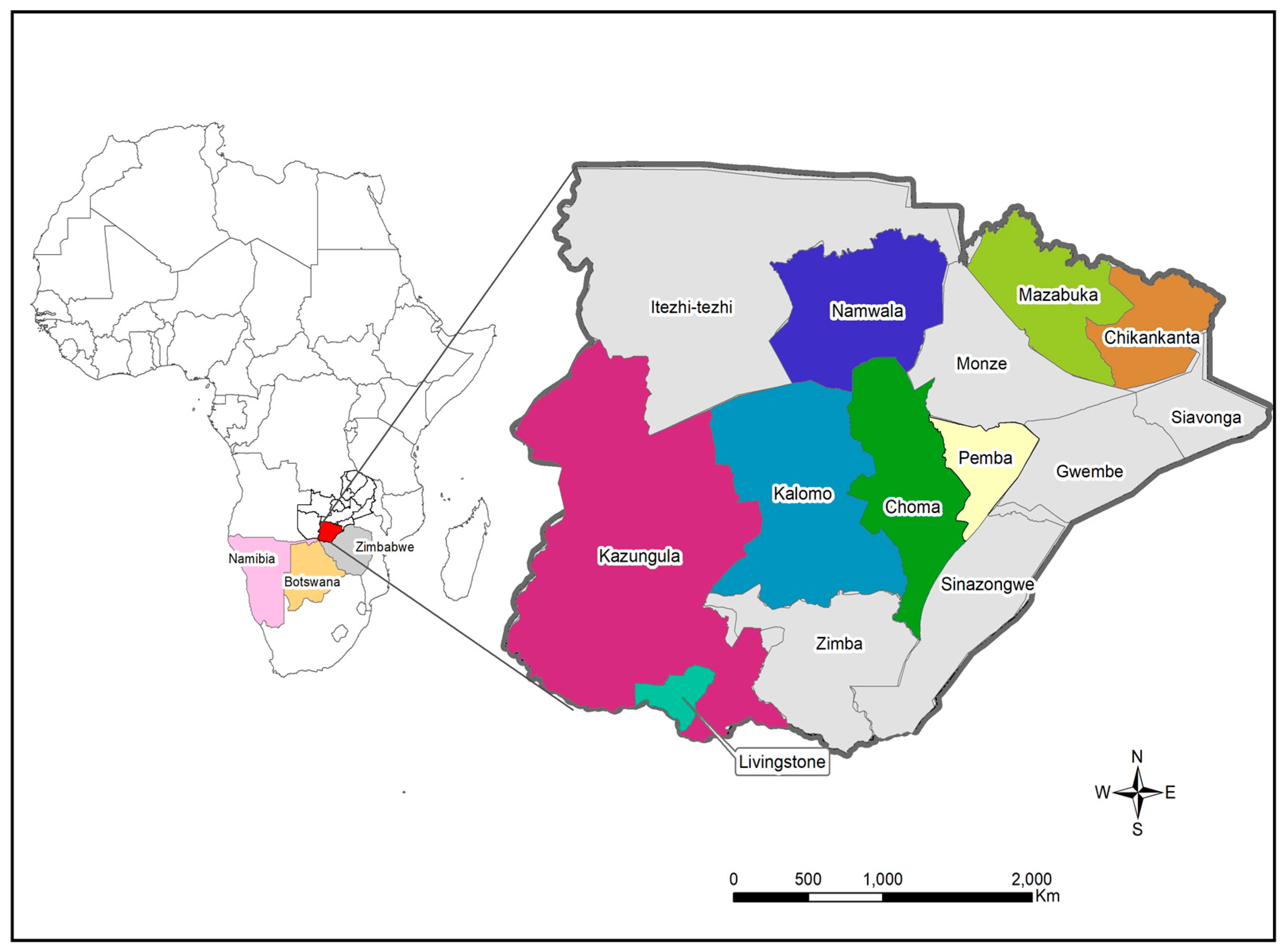 Viruses 14 01865 g001