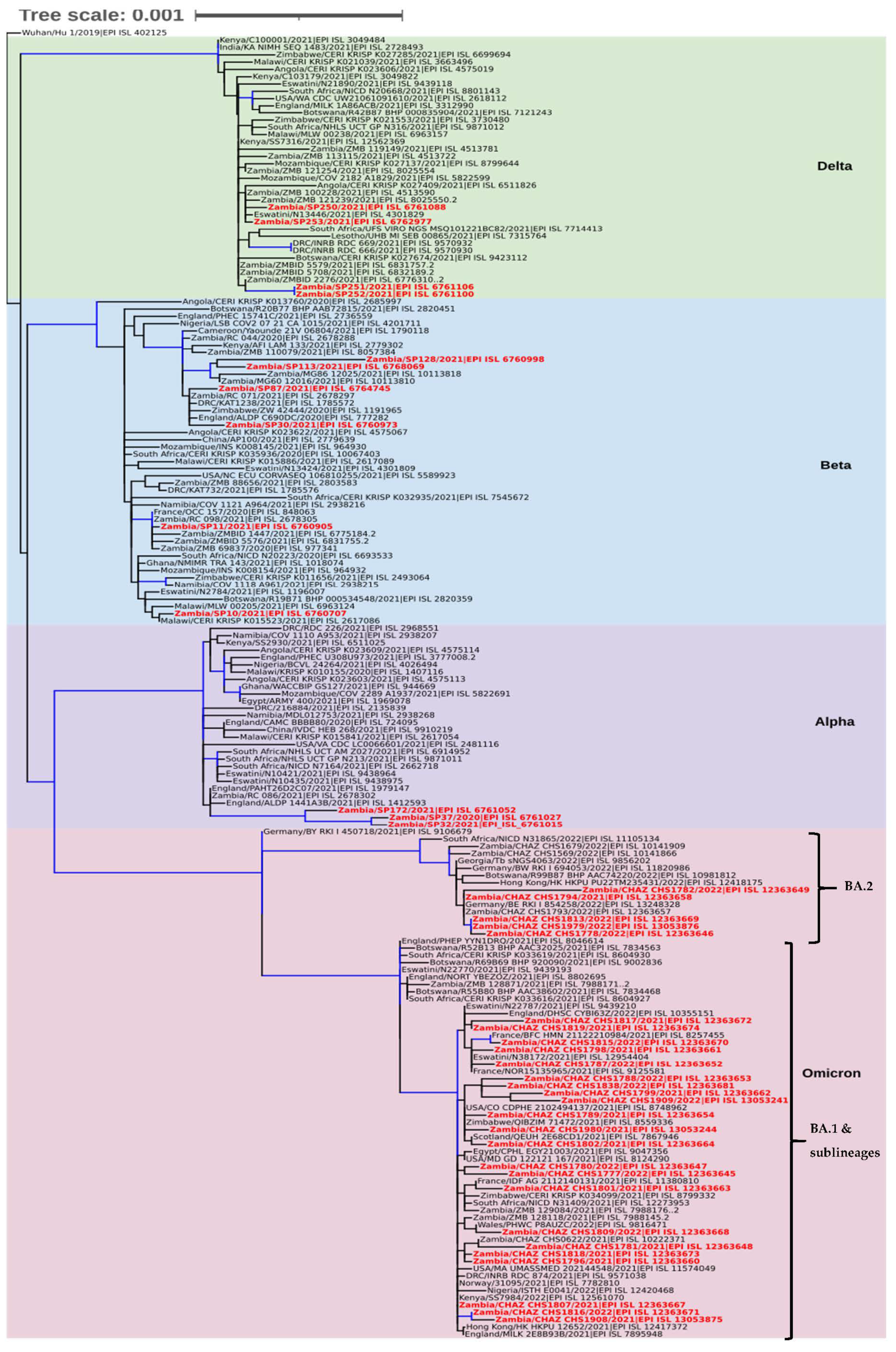 Viruses 14 01865 g003