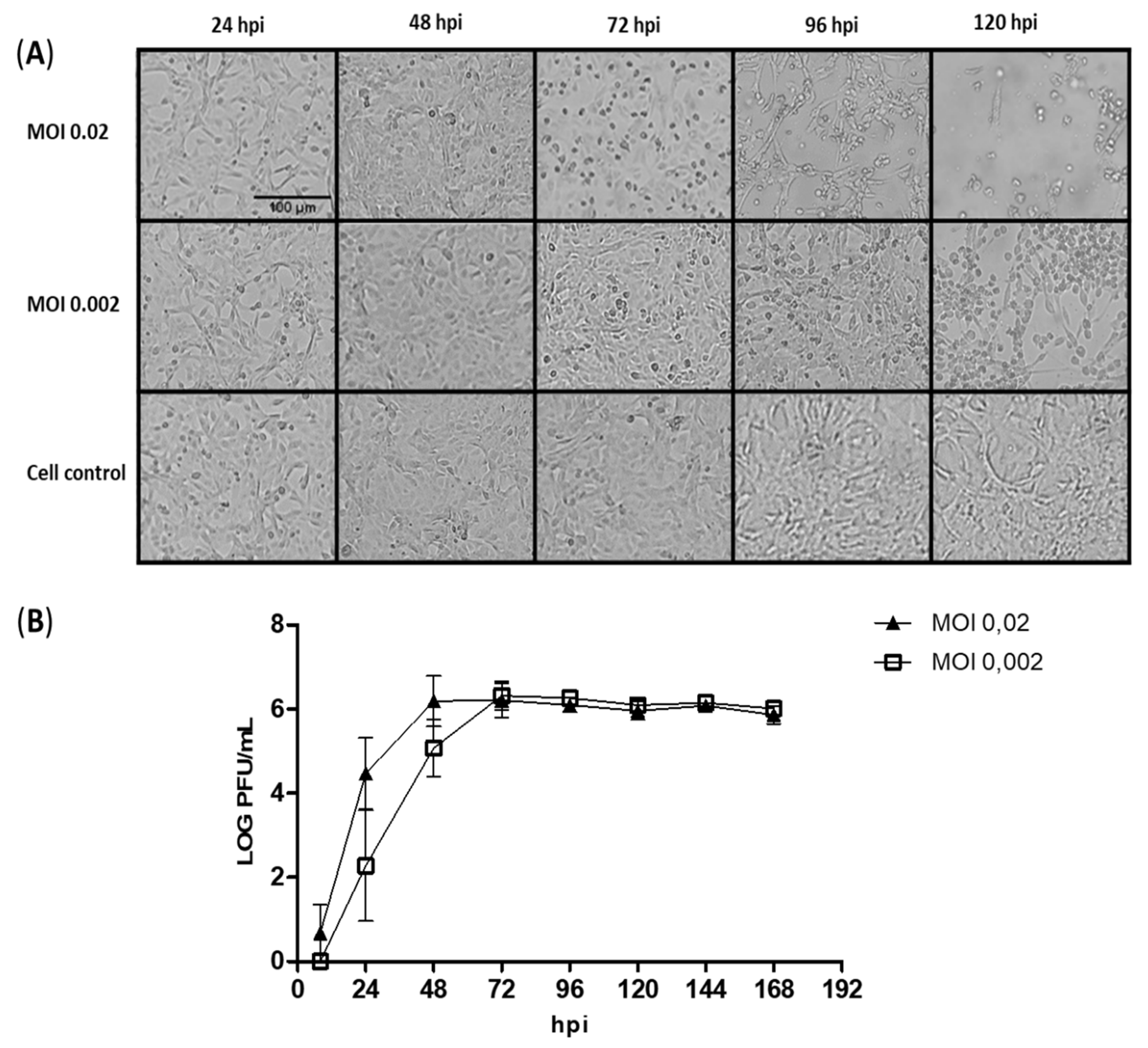 Viruses 14 01867 g001 550