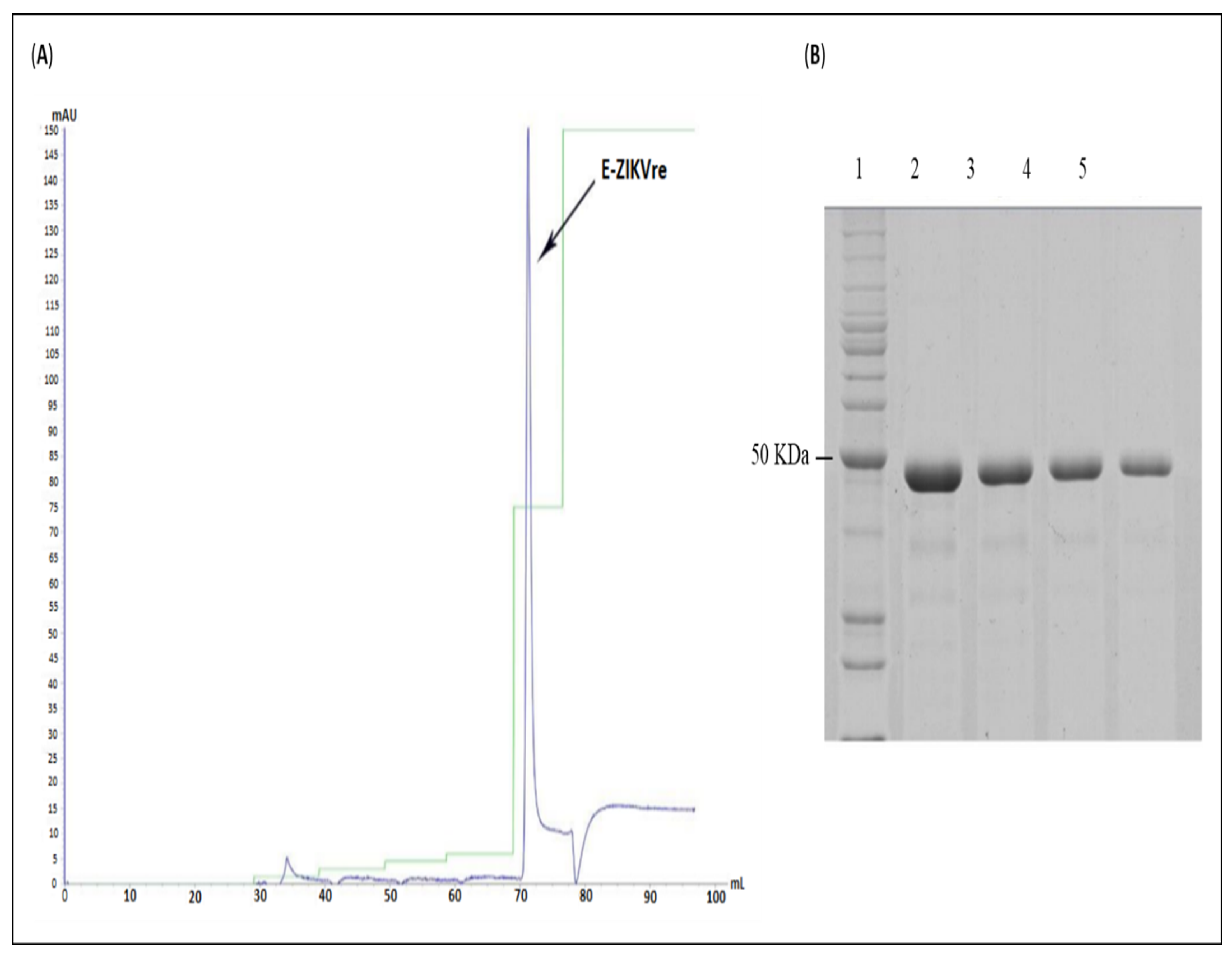 Viruses 14 01867 g005 550