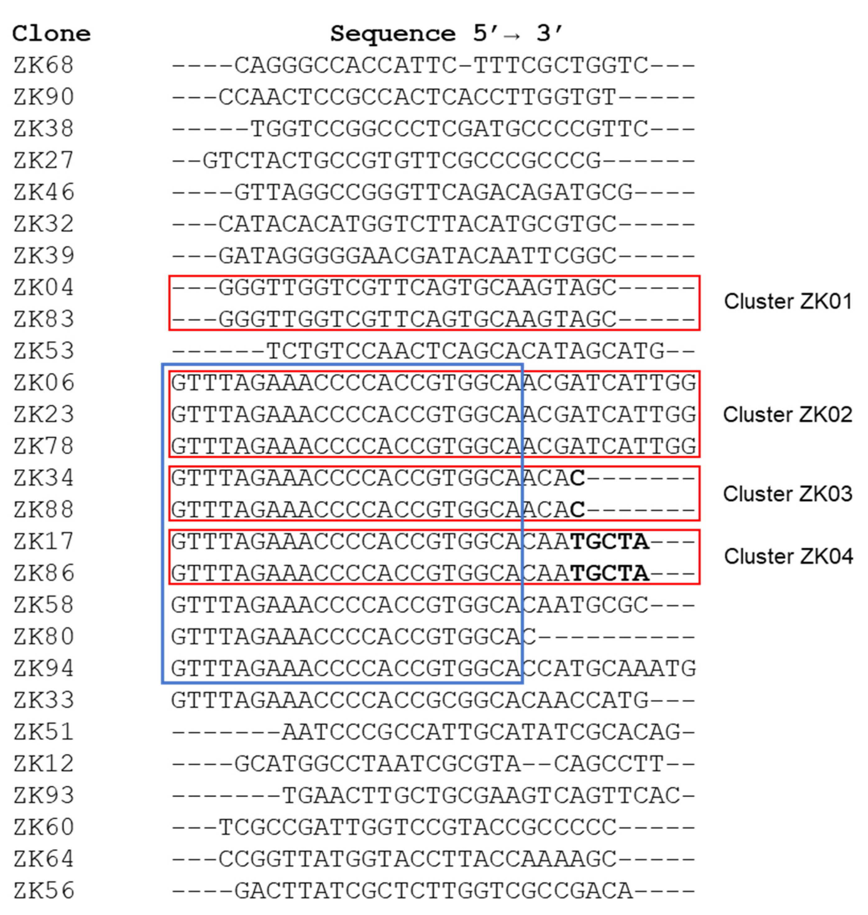 Viruses 14 01867 g006 550