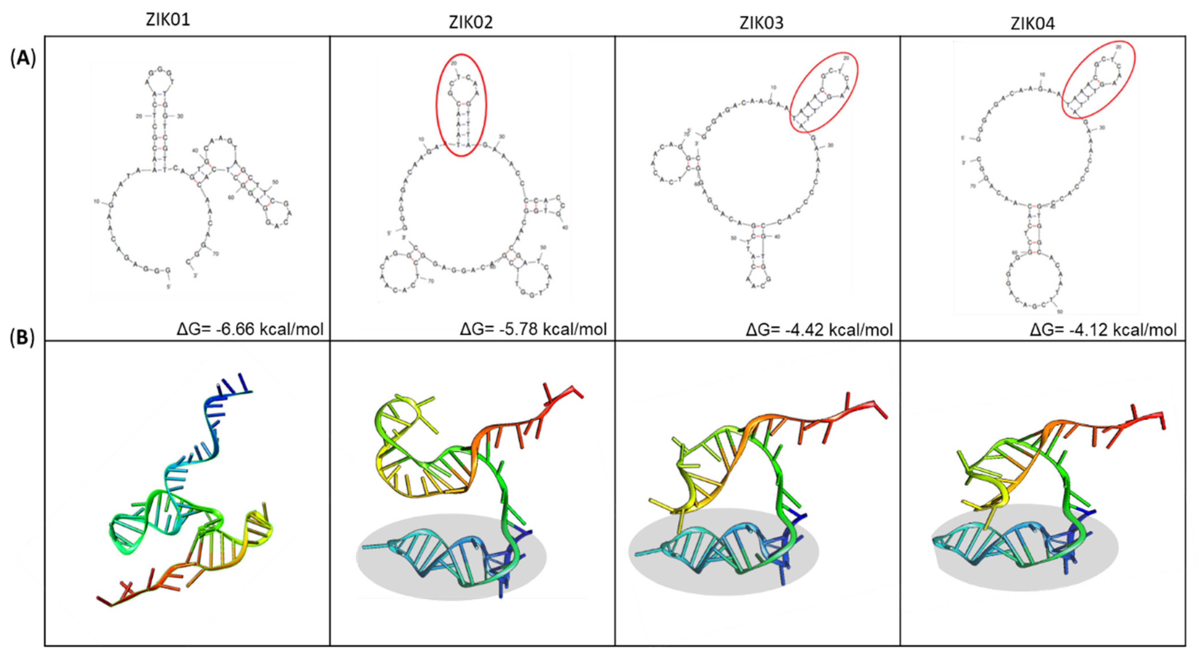 Viruses 14 01867 g007 550