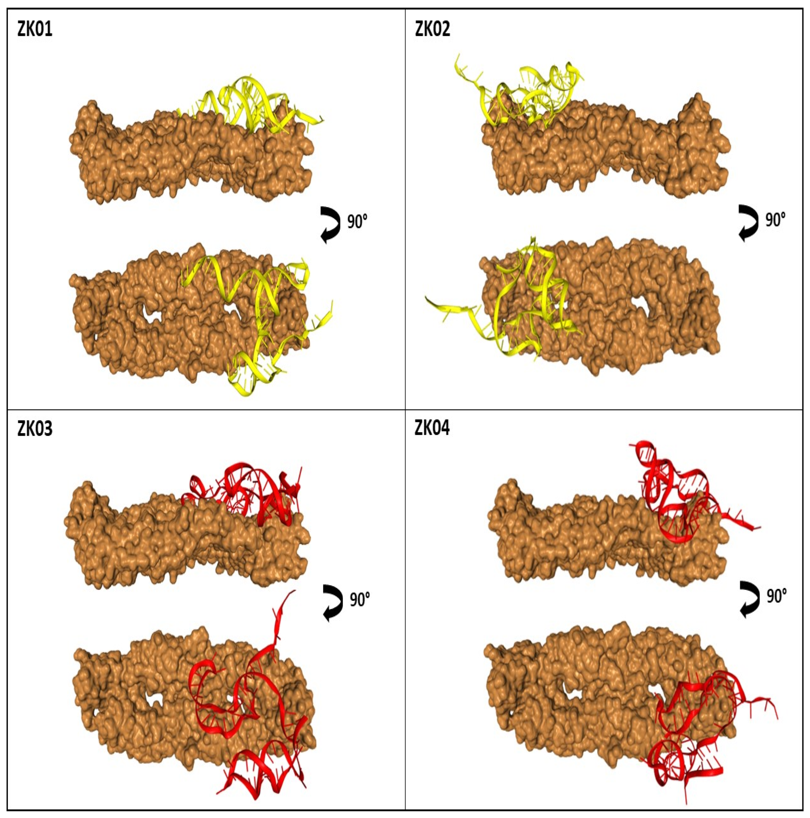 Viruses 14 01867 g008 550