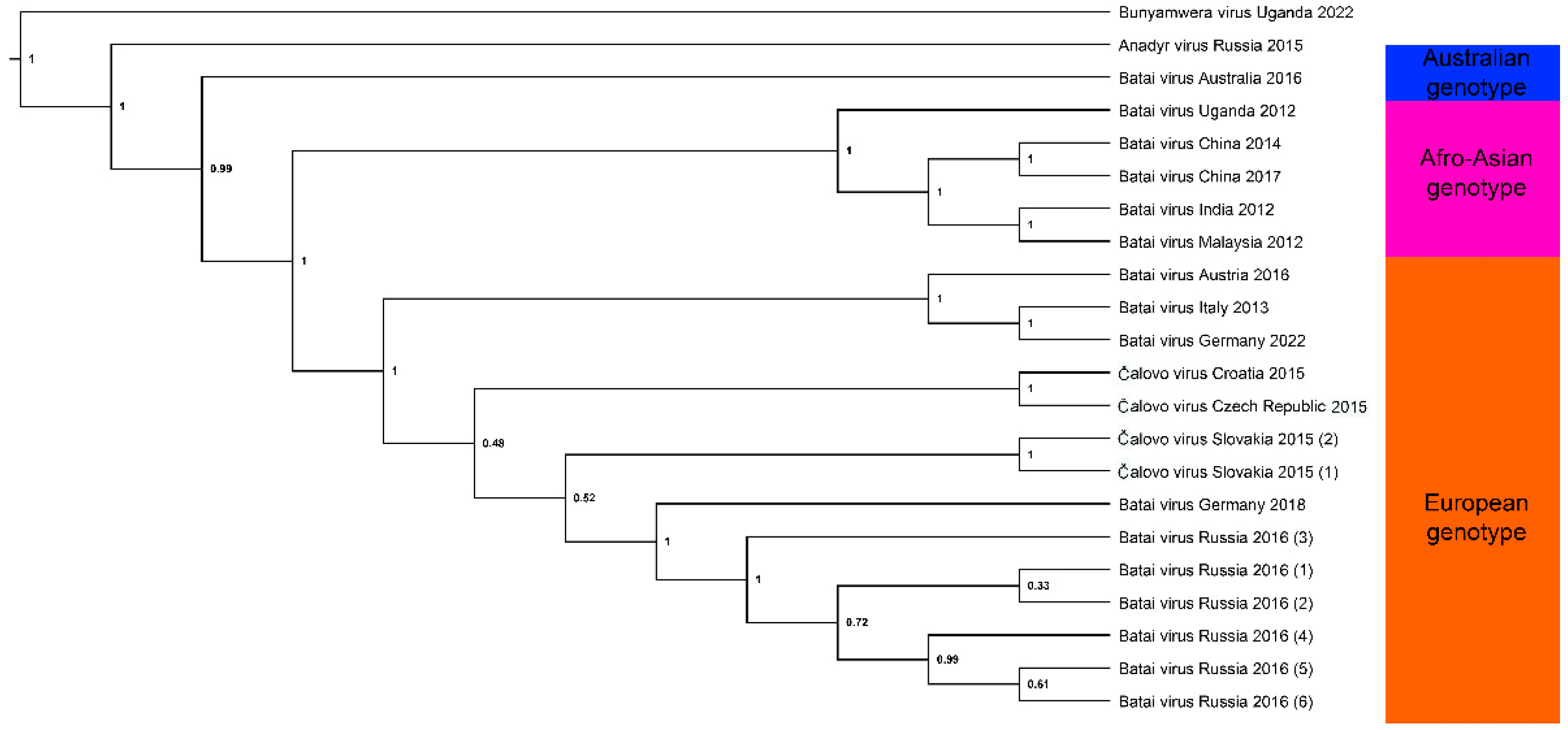 Viruses 14 01868 g001 Viruses 14 01868 g001