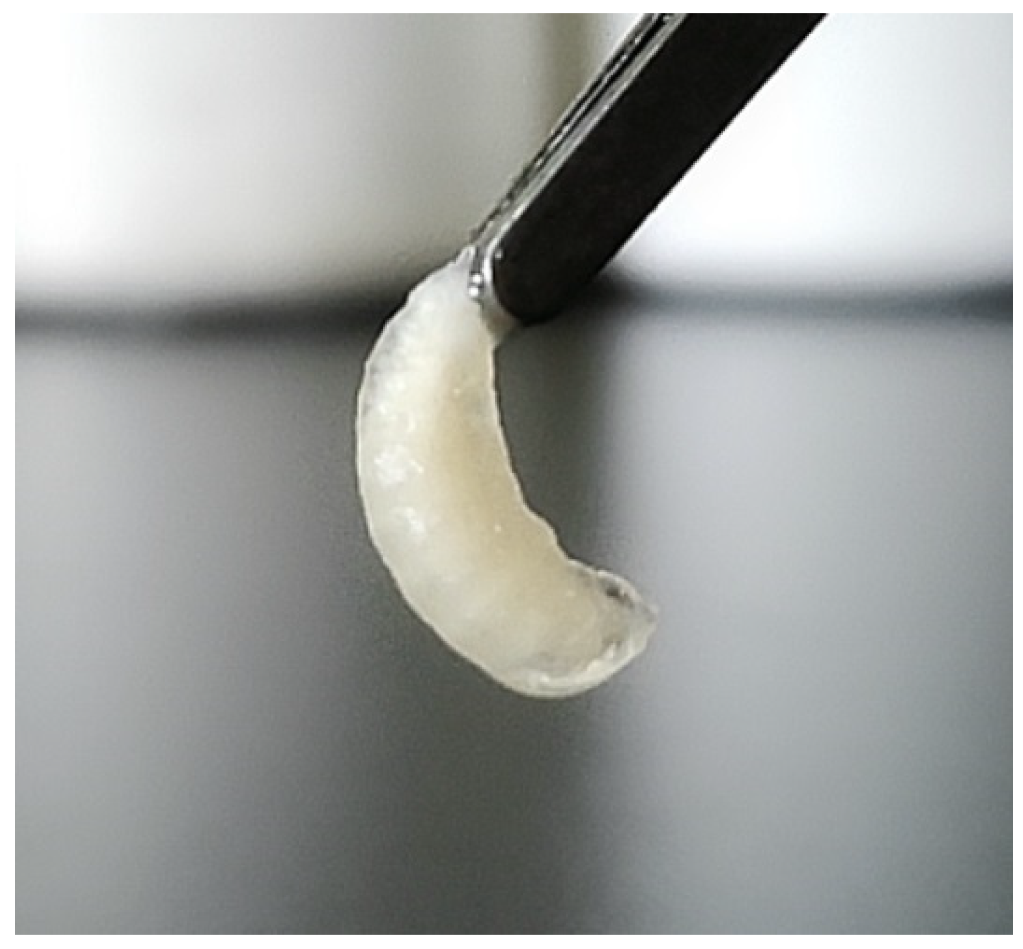 Viruses 14 01871 g001 550