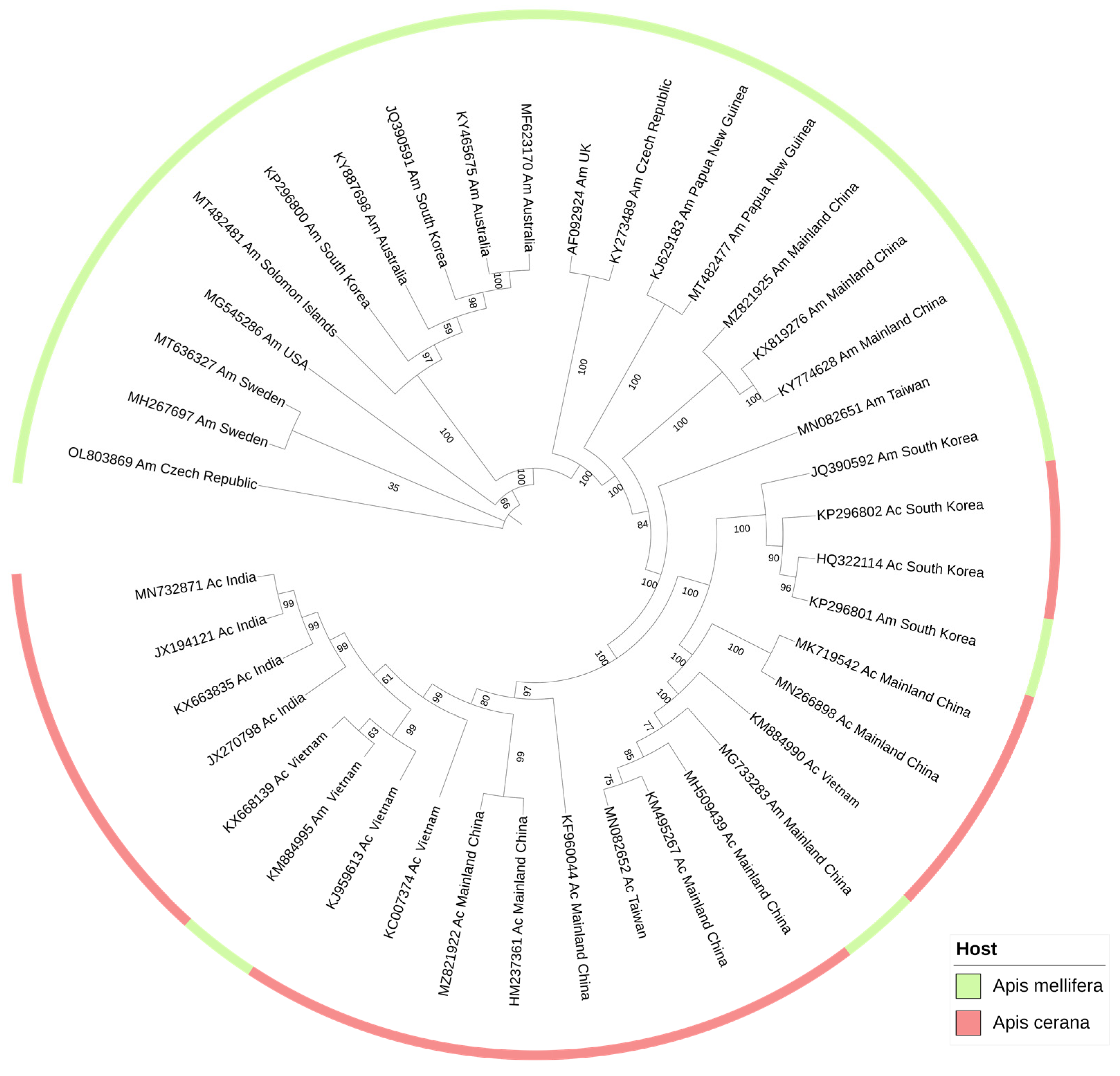 Viruses 14 01871 g003 550
