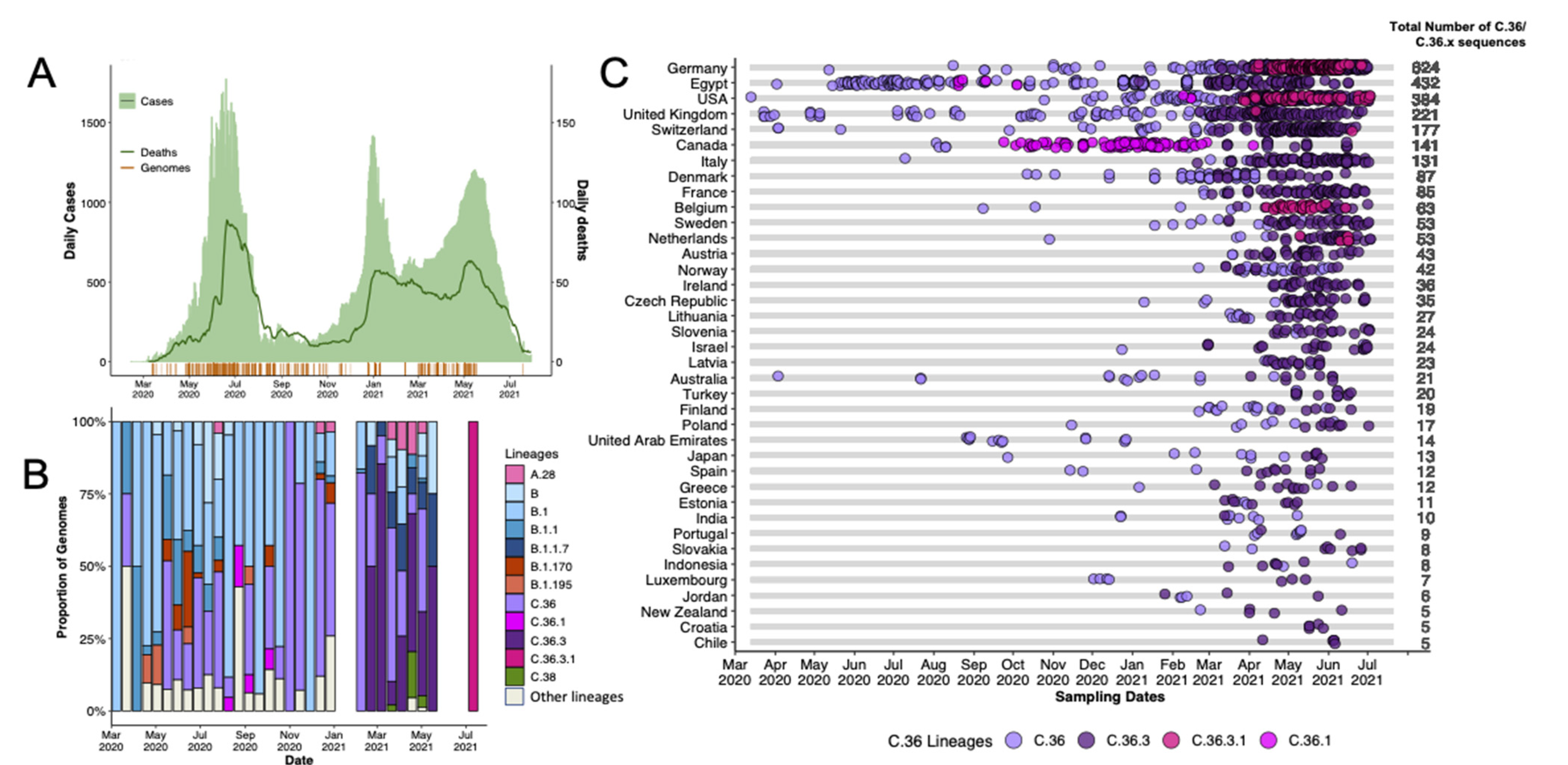 Viruses 14 01878 g001 550