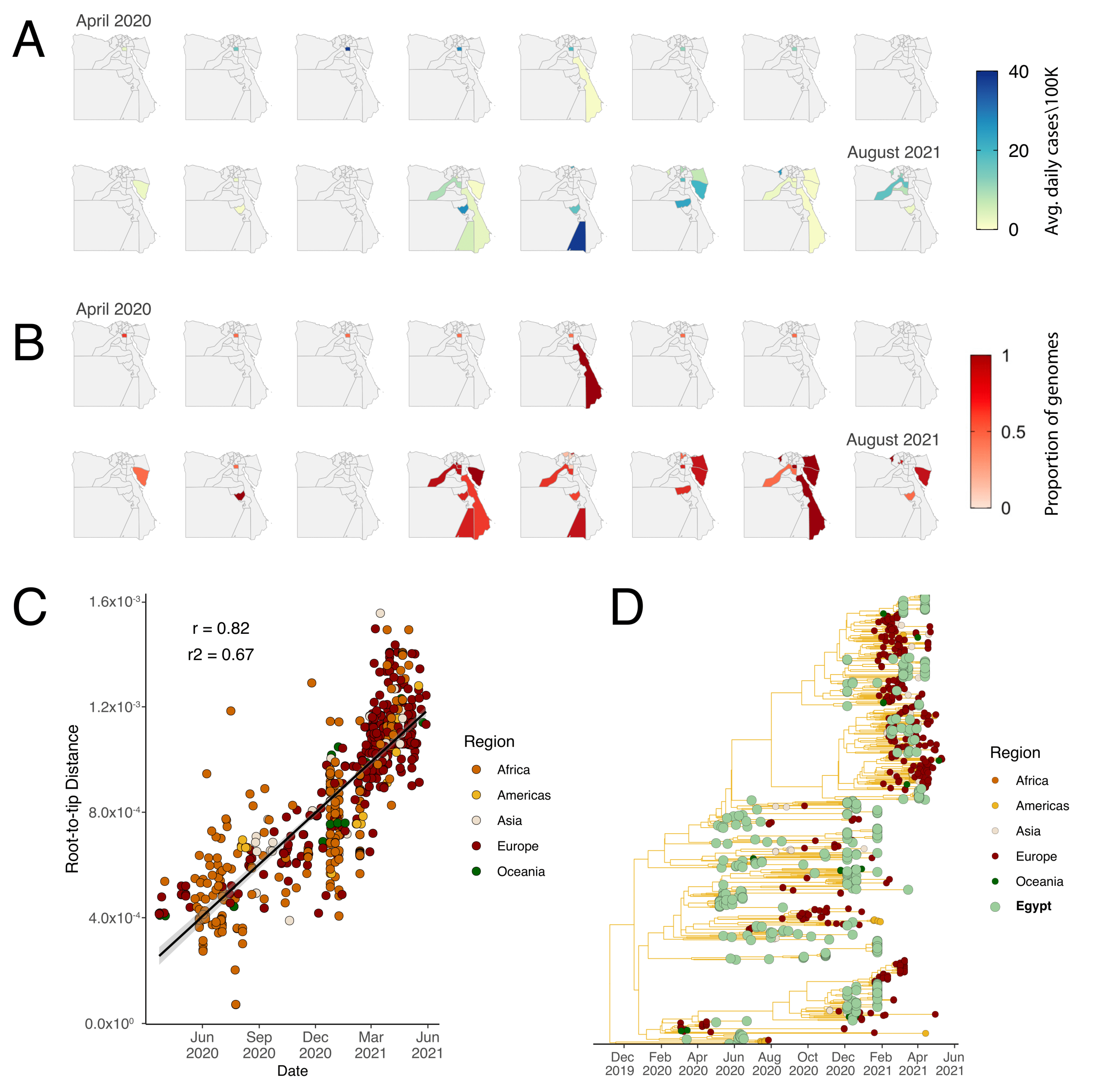 Viruses 14 01878 g003 550