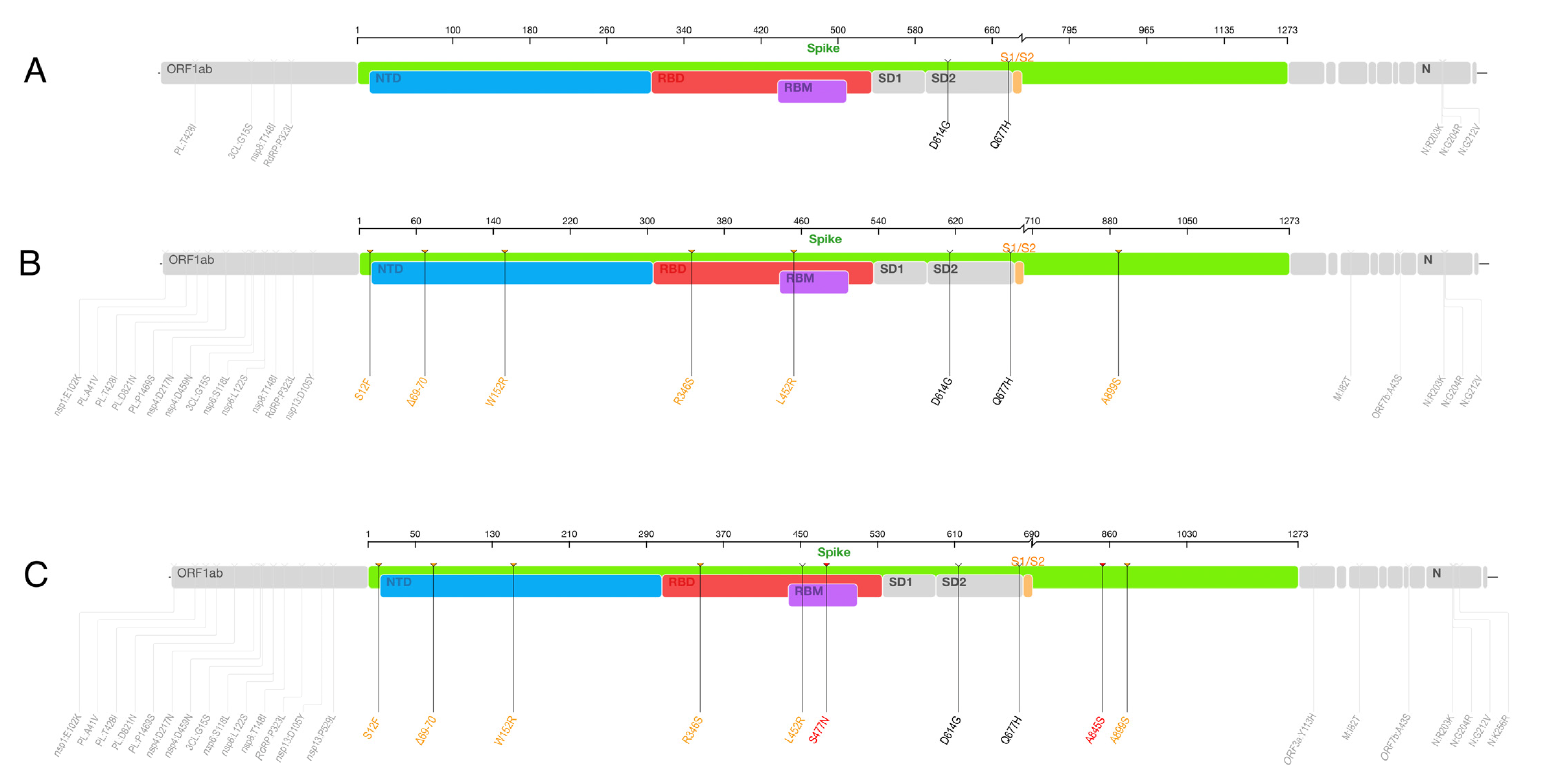 Viruses 14 01878 g004 550