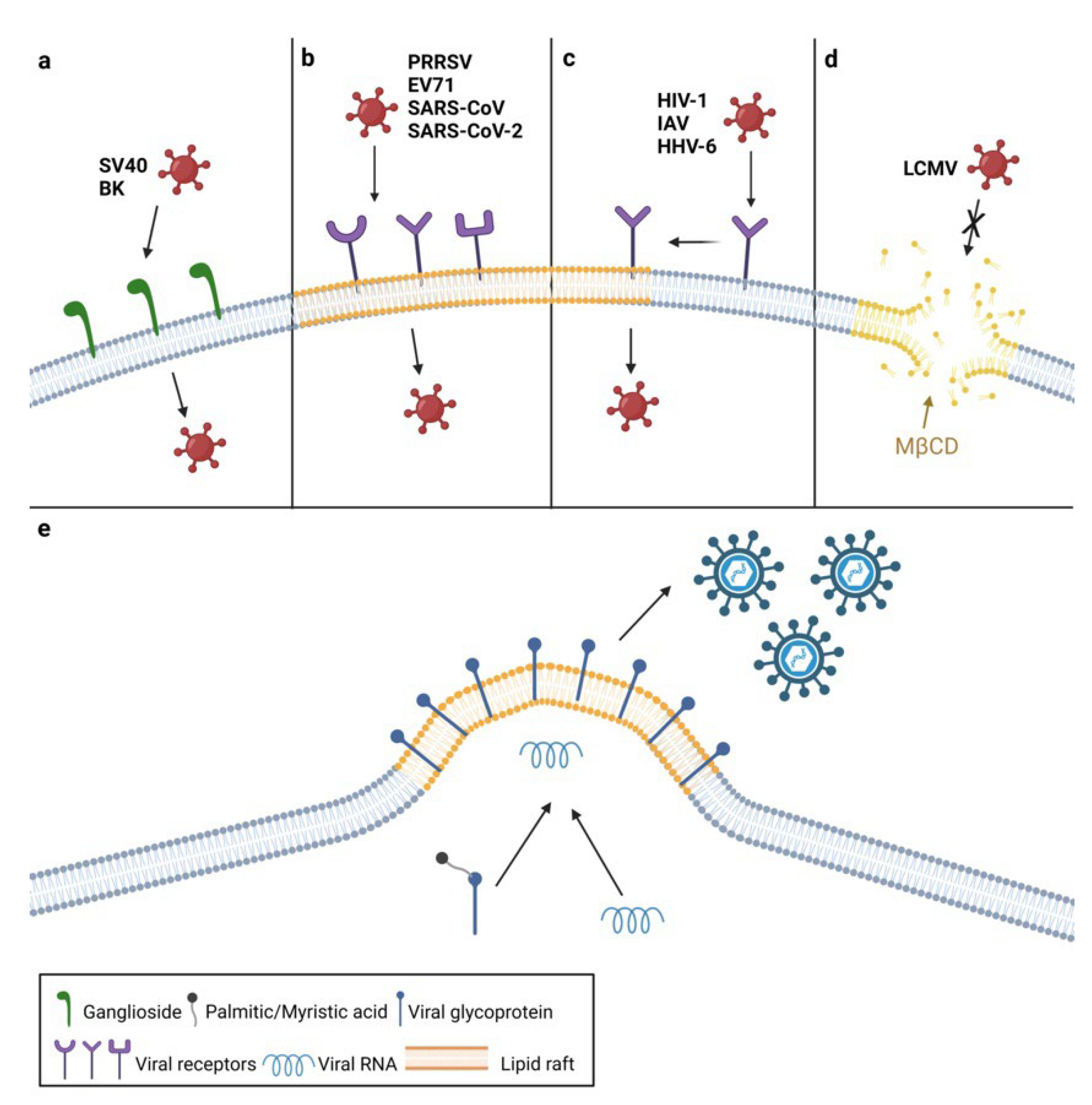 Viruses 14 01896 g001 Viruses 14 01896 g001