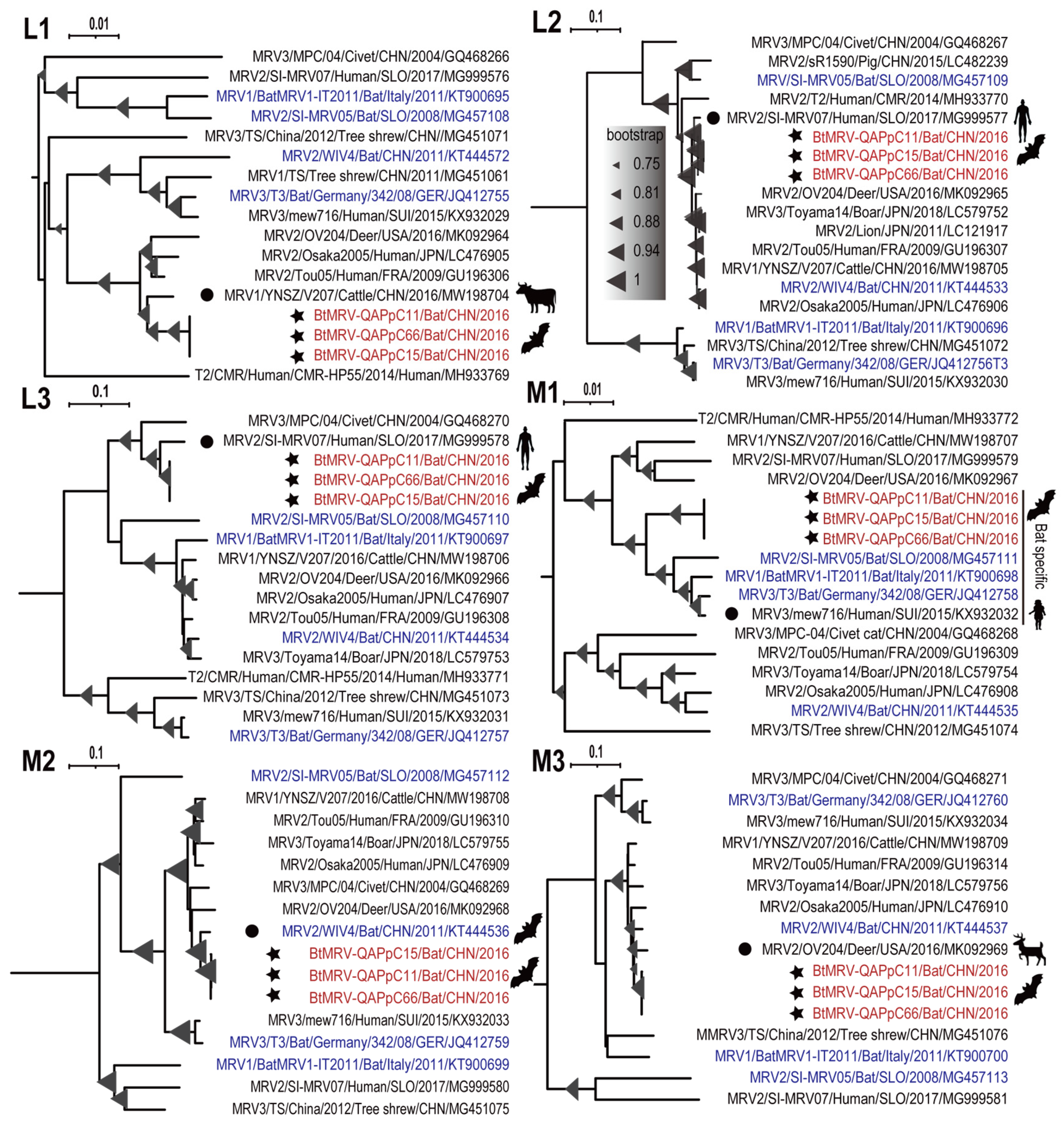 Viruses 14 01897 g003 Viruses 14 01897 g003