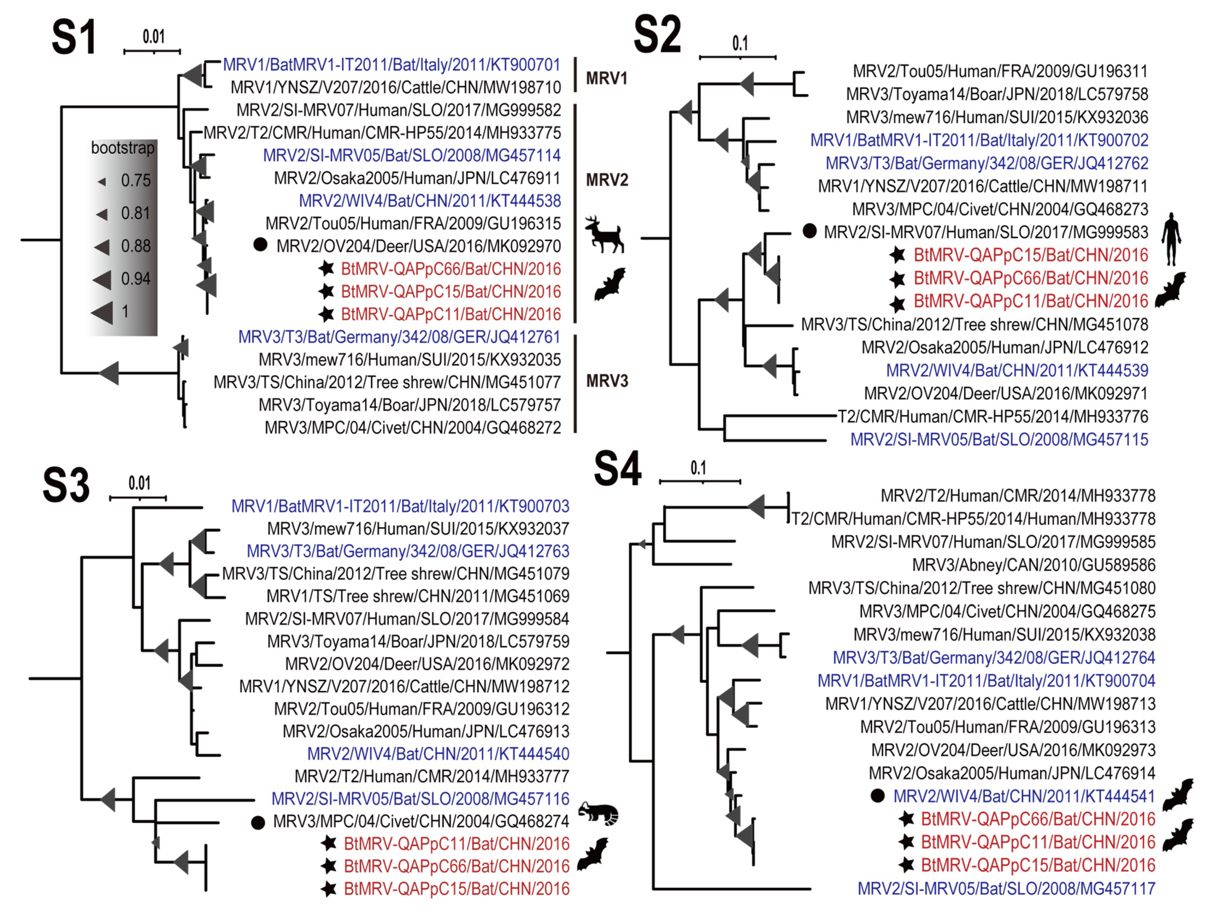 Viruses 14 01897 g004 Viruses 14 01897 g004