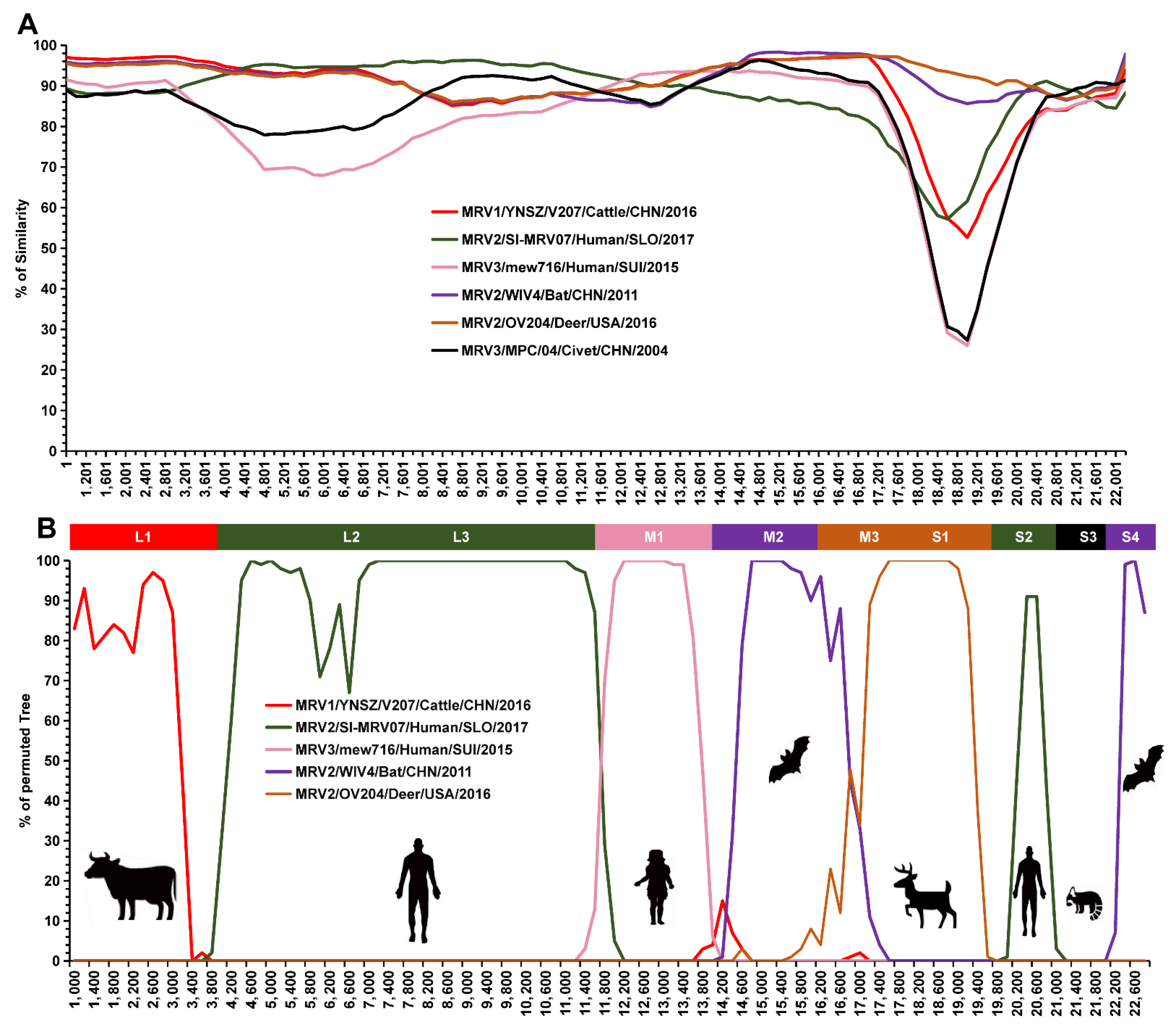 Viruses 14 01897 g005 Viruses 14 01897 g005