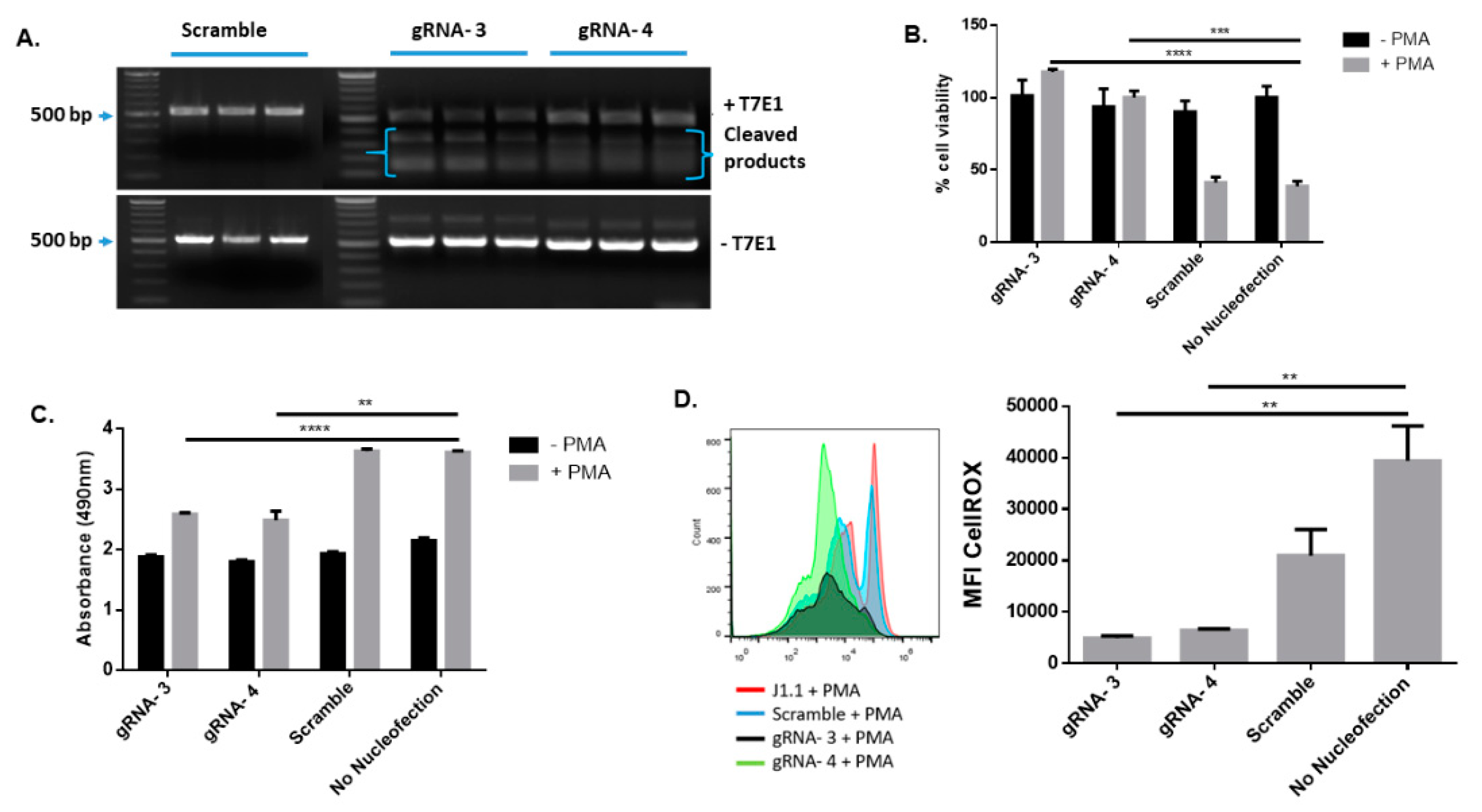 Viruses 14 01902 g004