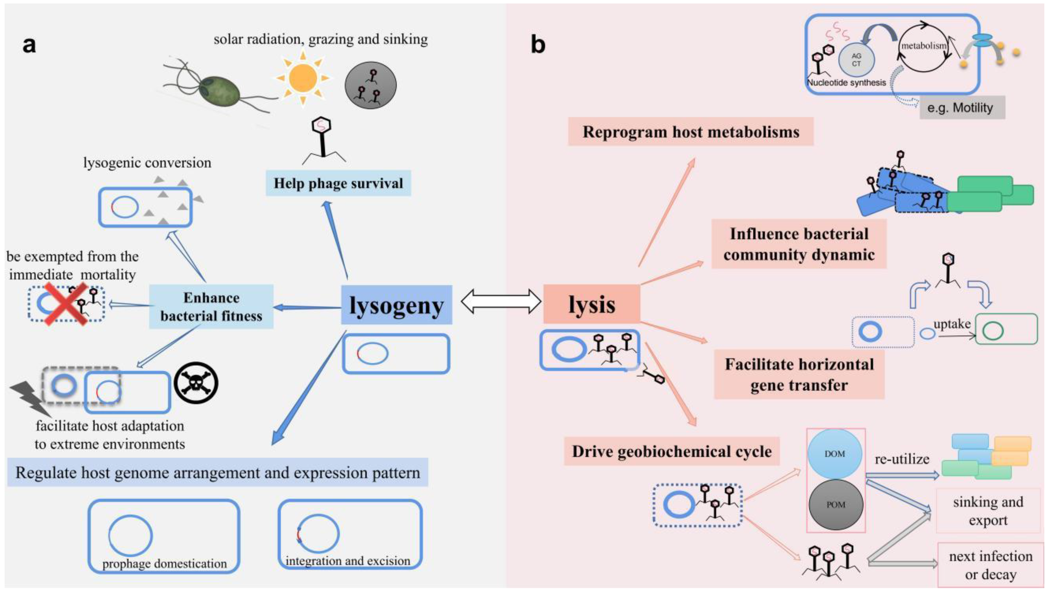 Viruses 14 01904 g002 Viruses 14 01904 g002