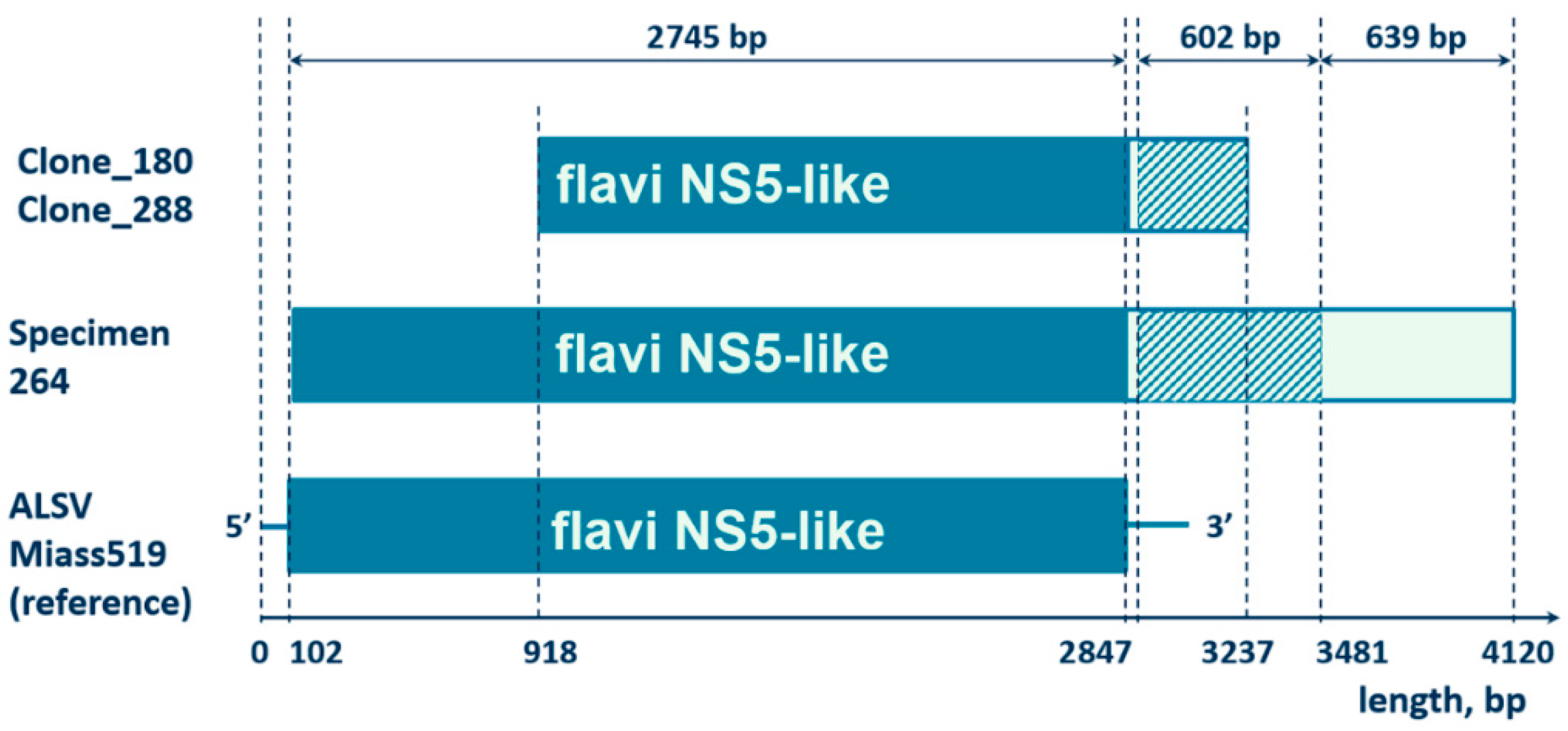 Viruses 14 01908 g003