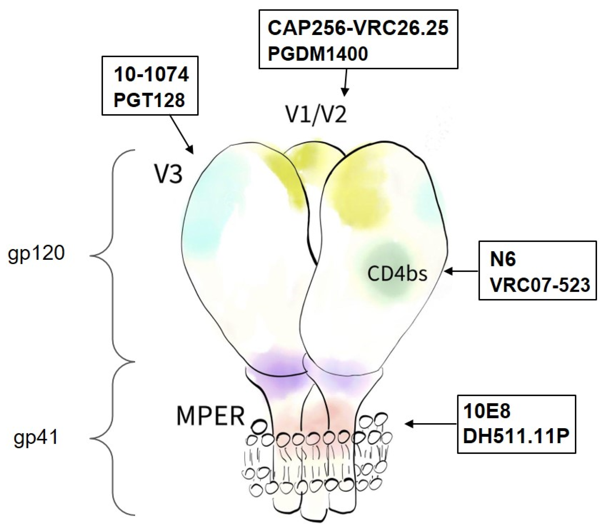 Viruses 14 01910 g001 550