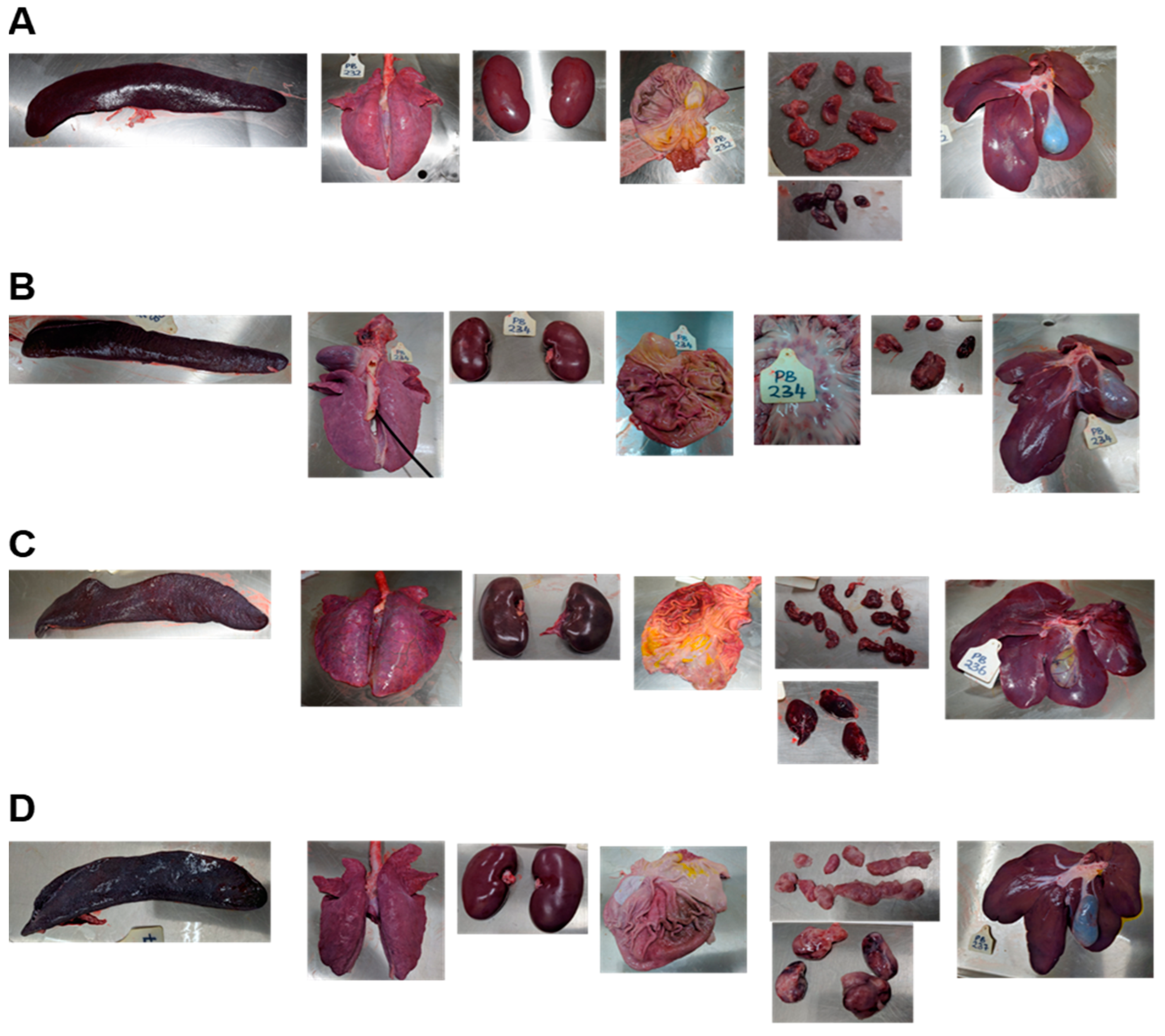 Viruses 14 01912 g004 550