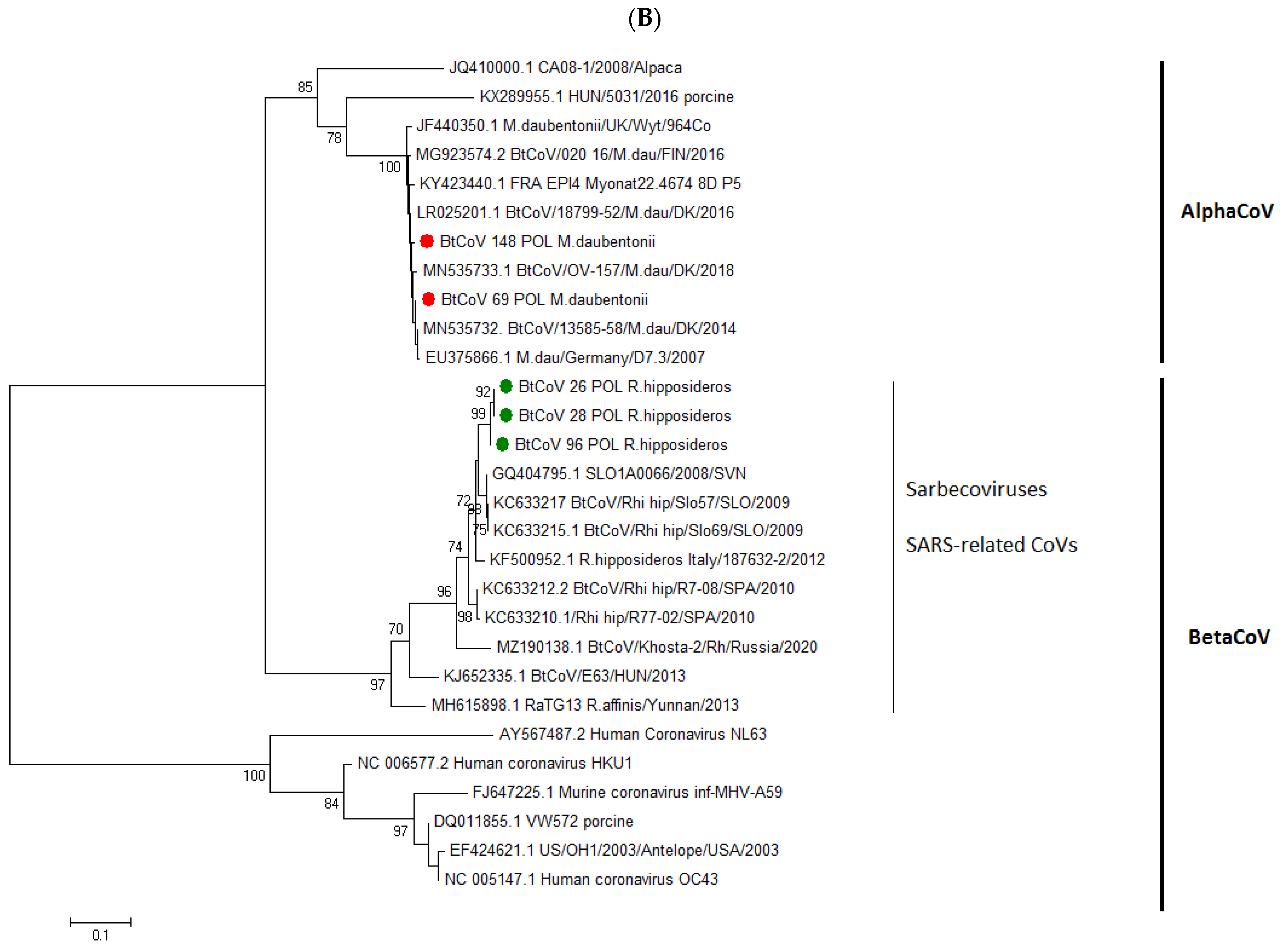 Viruses 14 01914 g002b