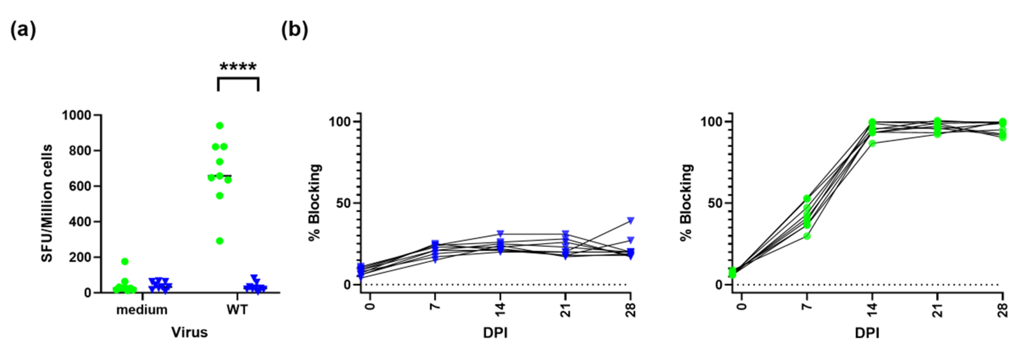 Viruses 14 01917 g002 550