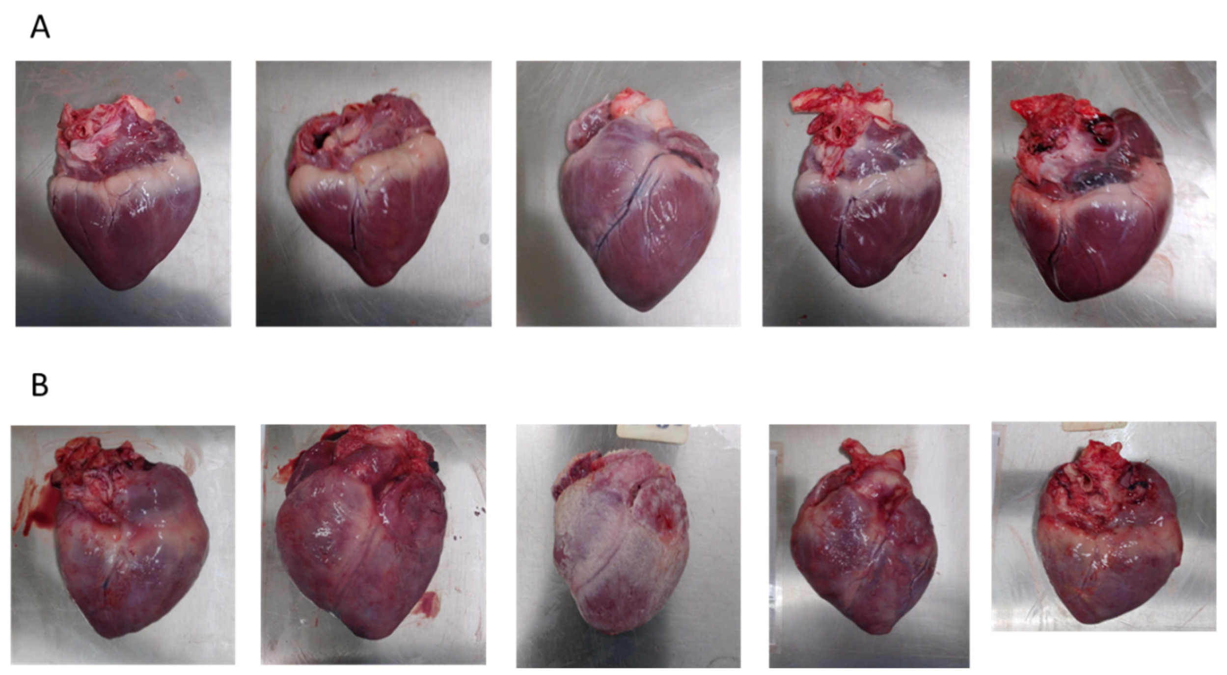 Viruses 14 01917 g004 550