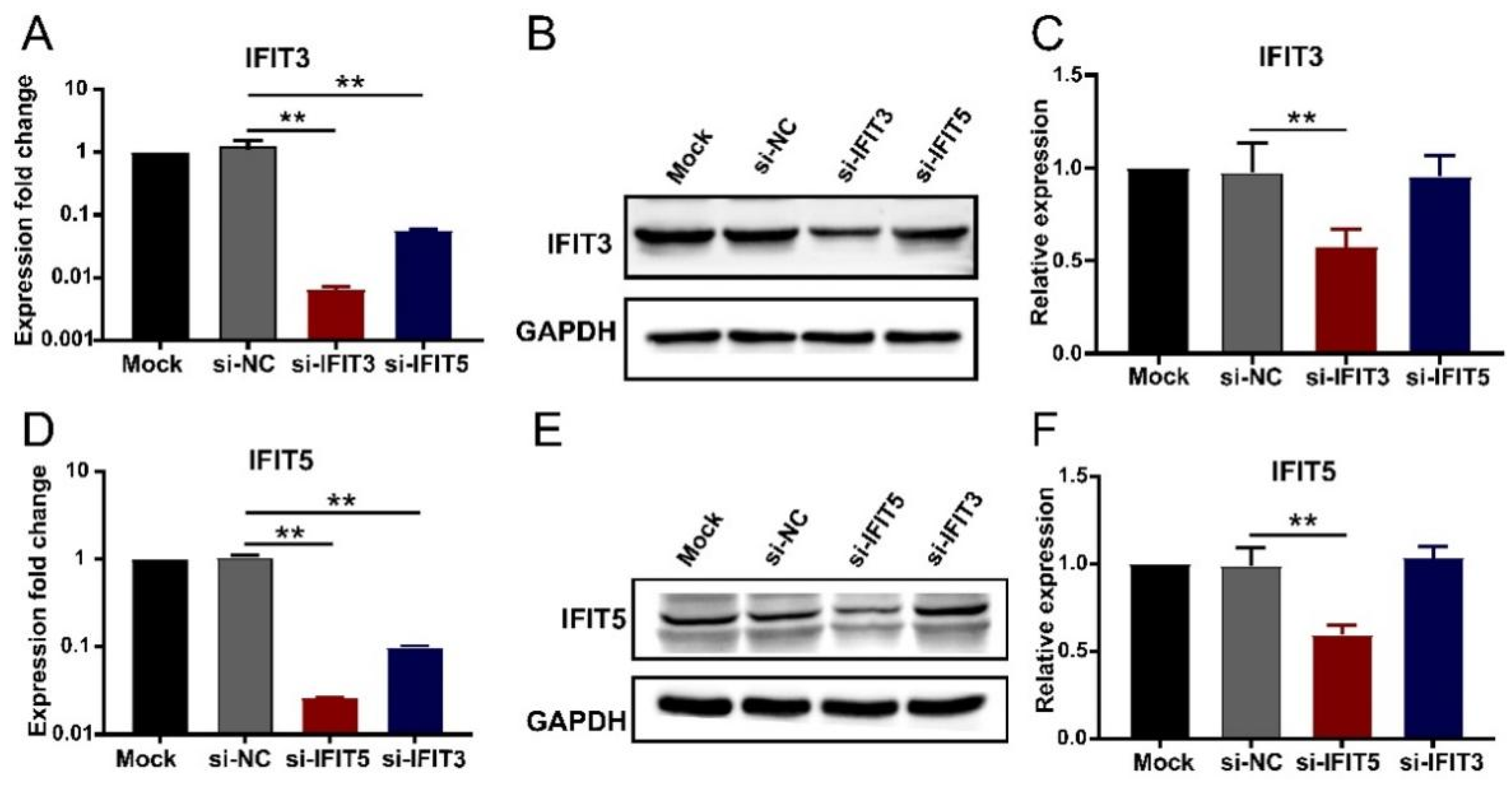 Viruses 14 01919 g006