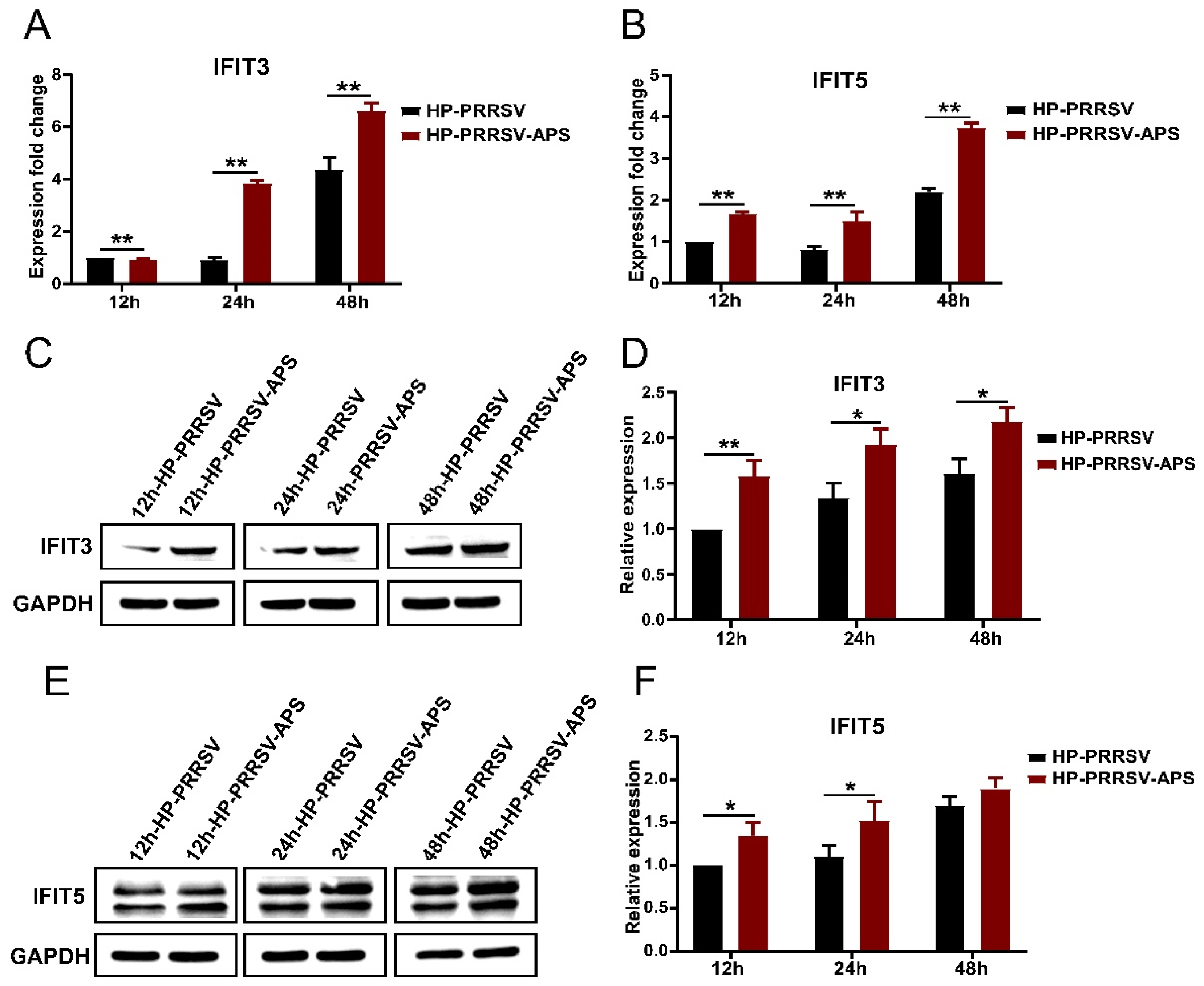Viruses 14 01919 g008