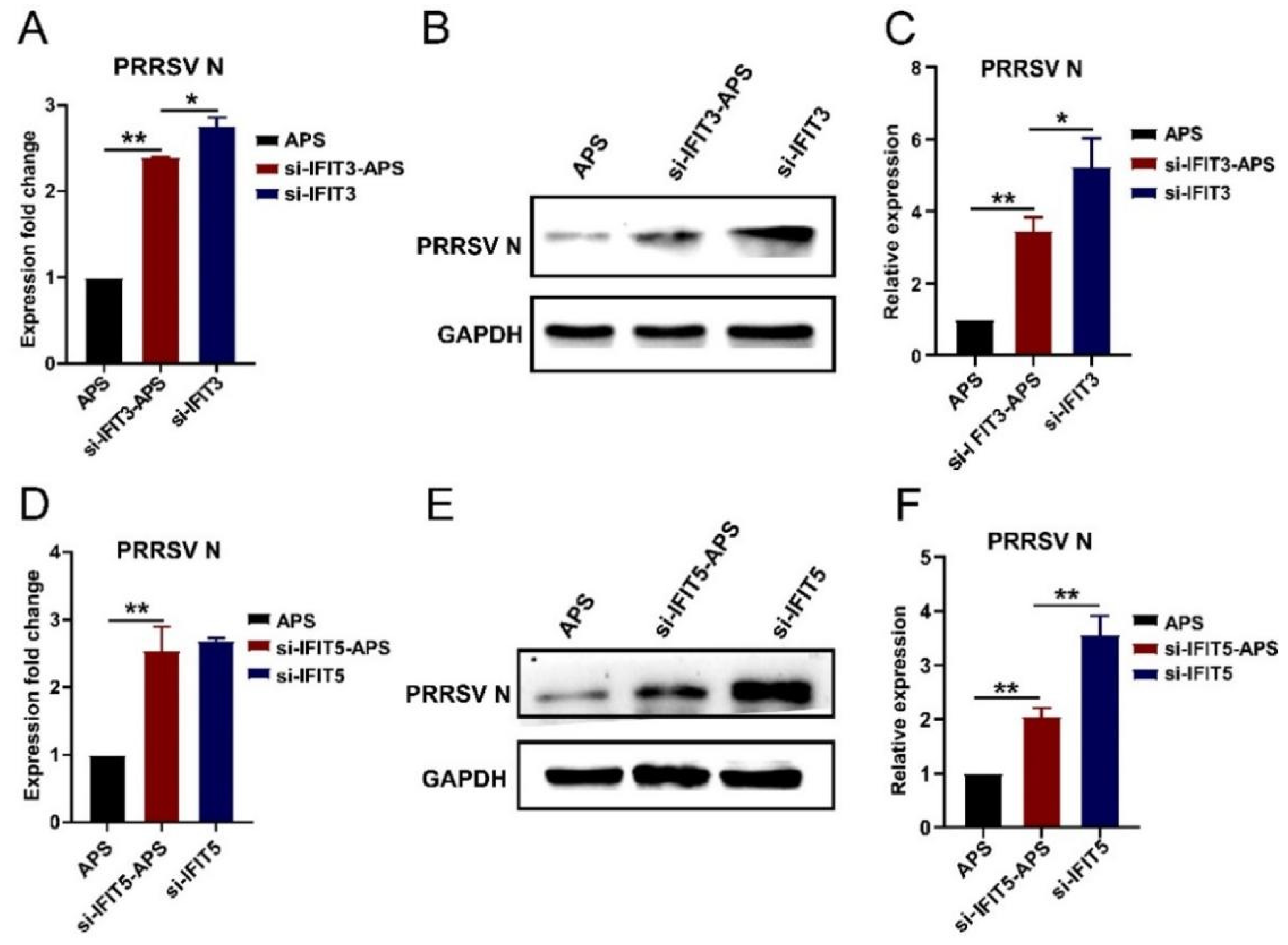 Viruses 14 01919 g010
