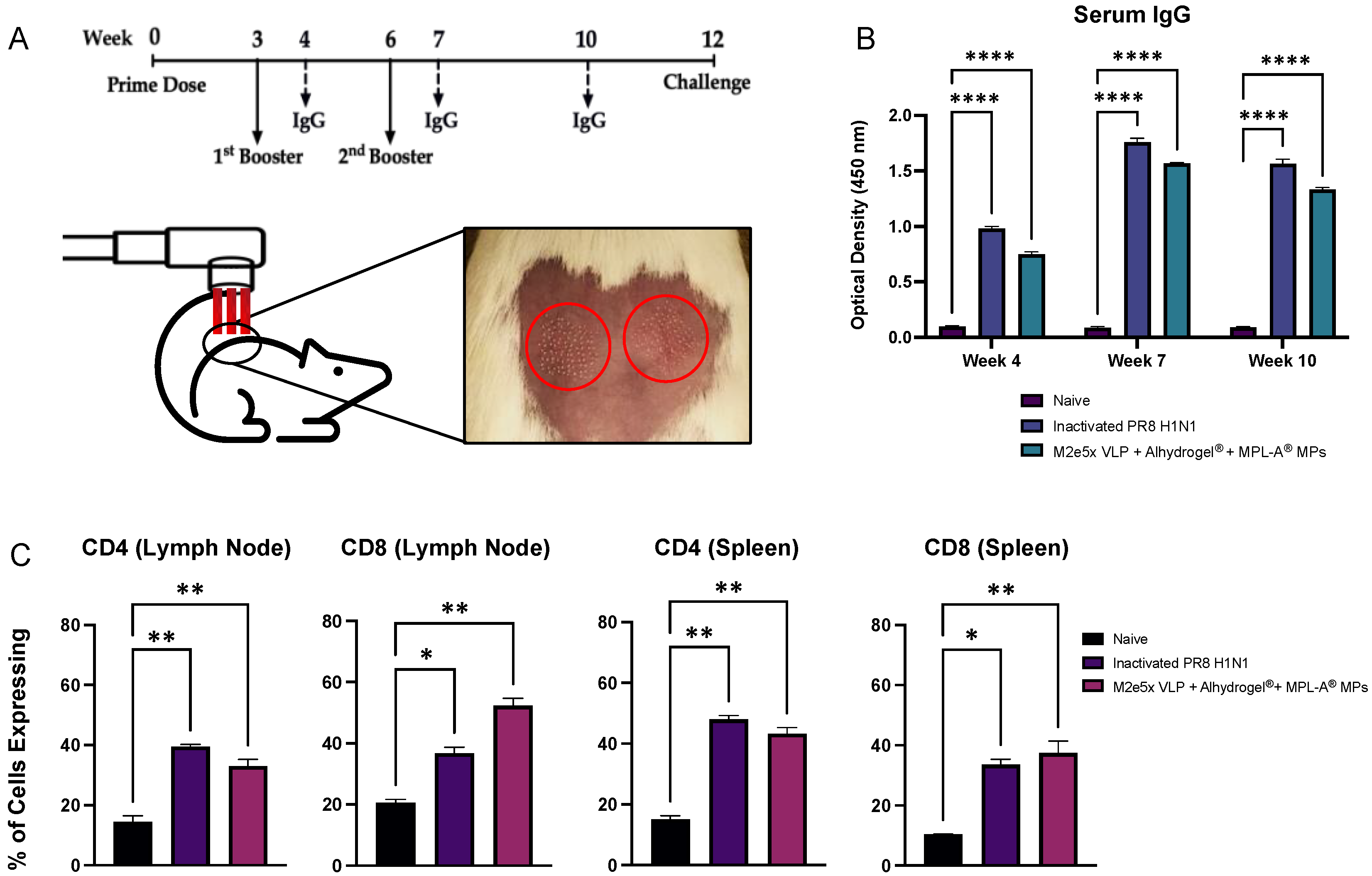 Viruses 14 01920 g003