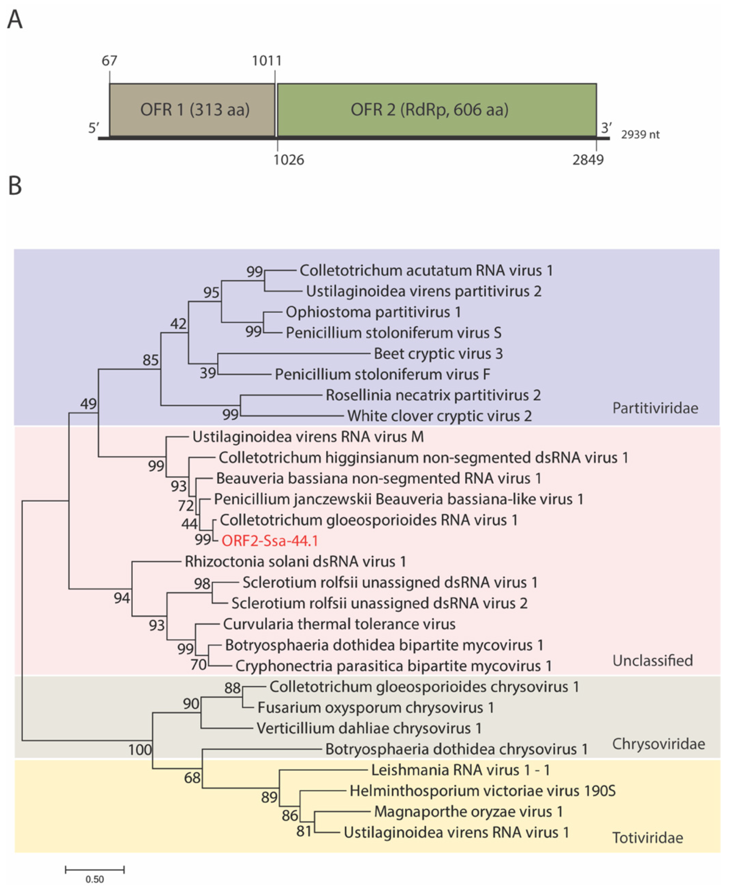 Viruses 14 01921 g002 Viruses 14 01921 g002