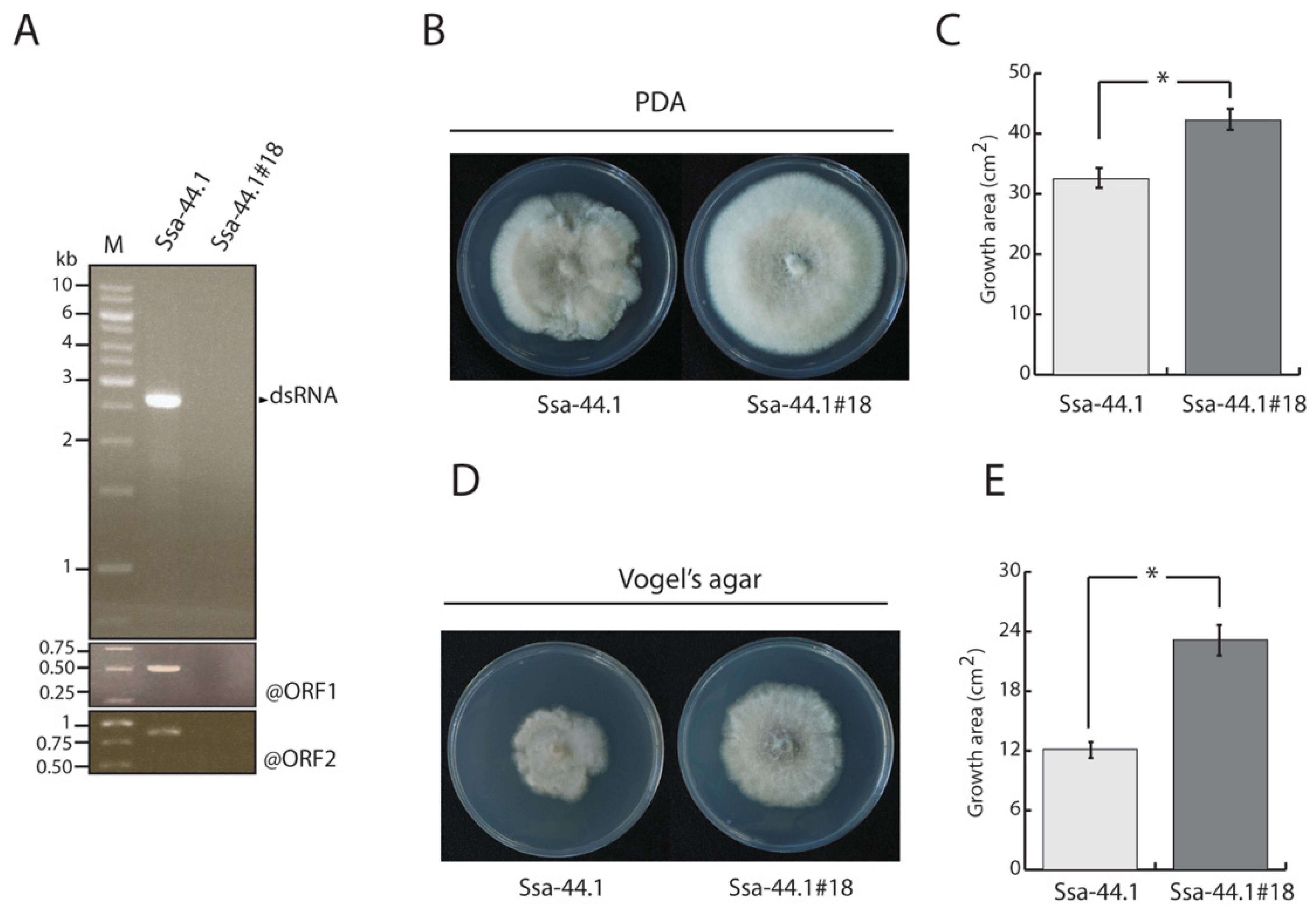 Viruses 14 01921 g003 Viruses 14 01921 g003