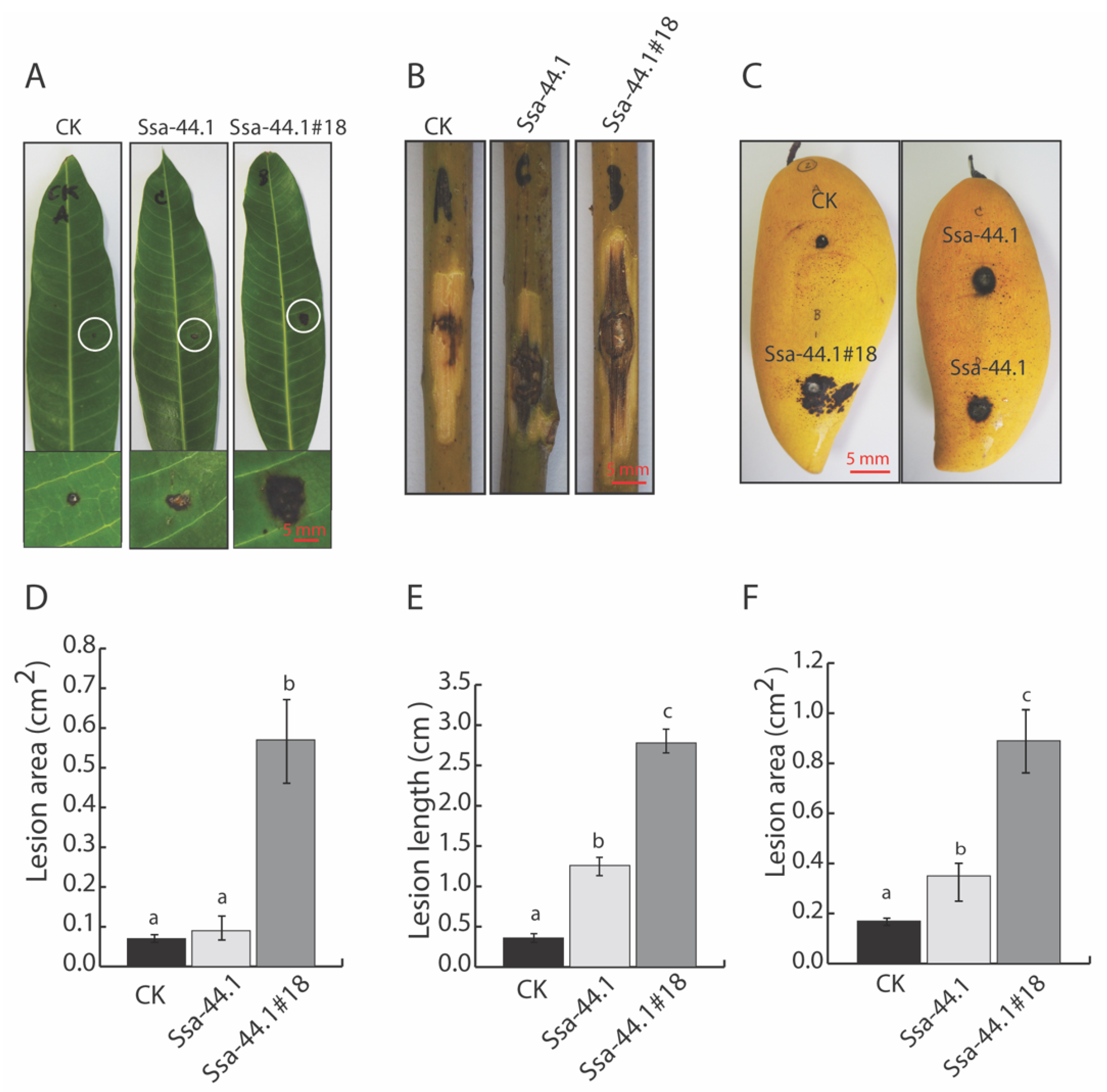 Viruses 14 01921 g005 Viruses 14 01921 g005