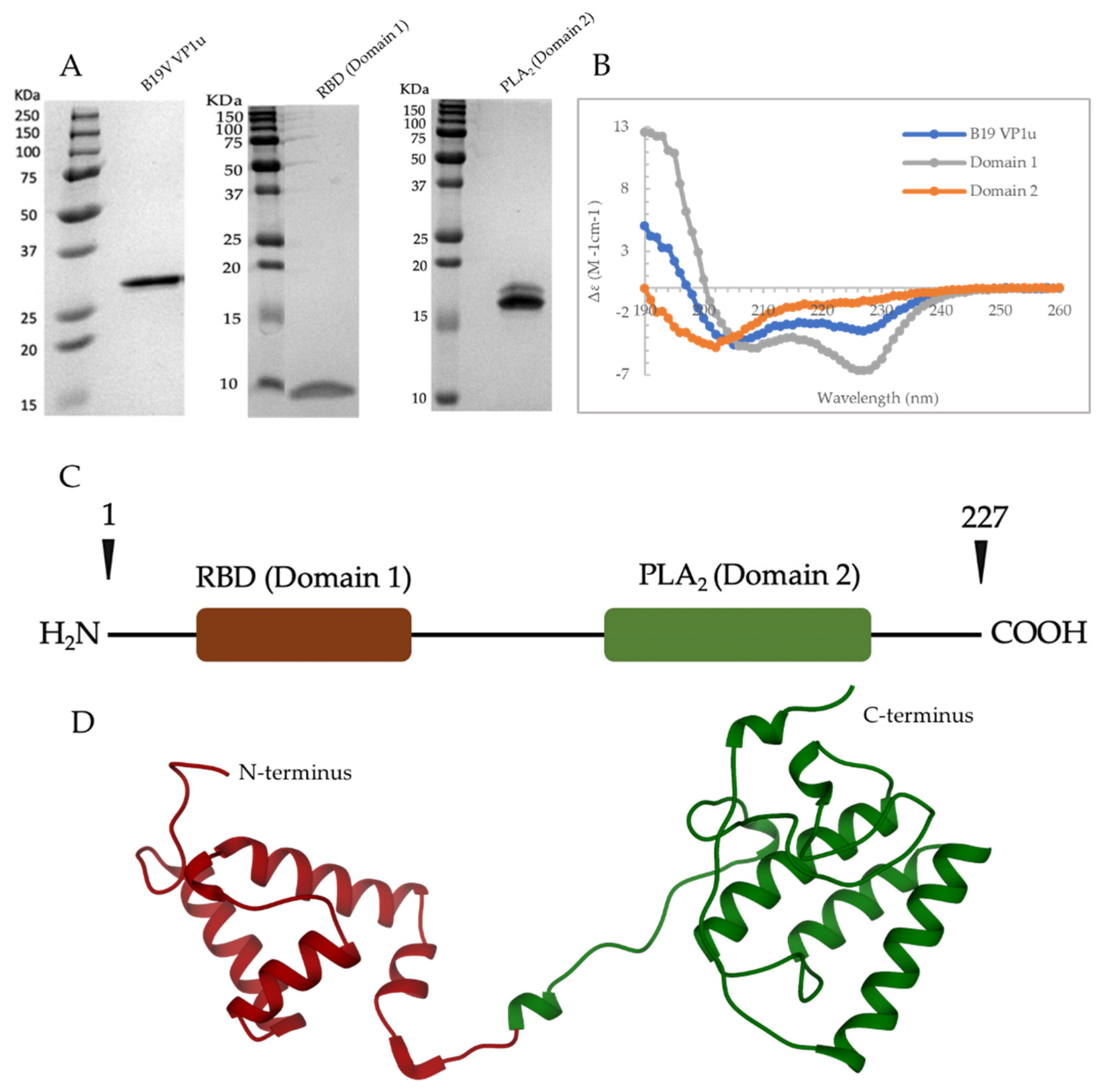 Viruses 14 01922 g001 550