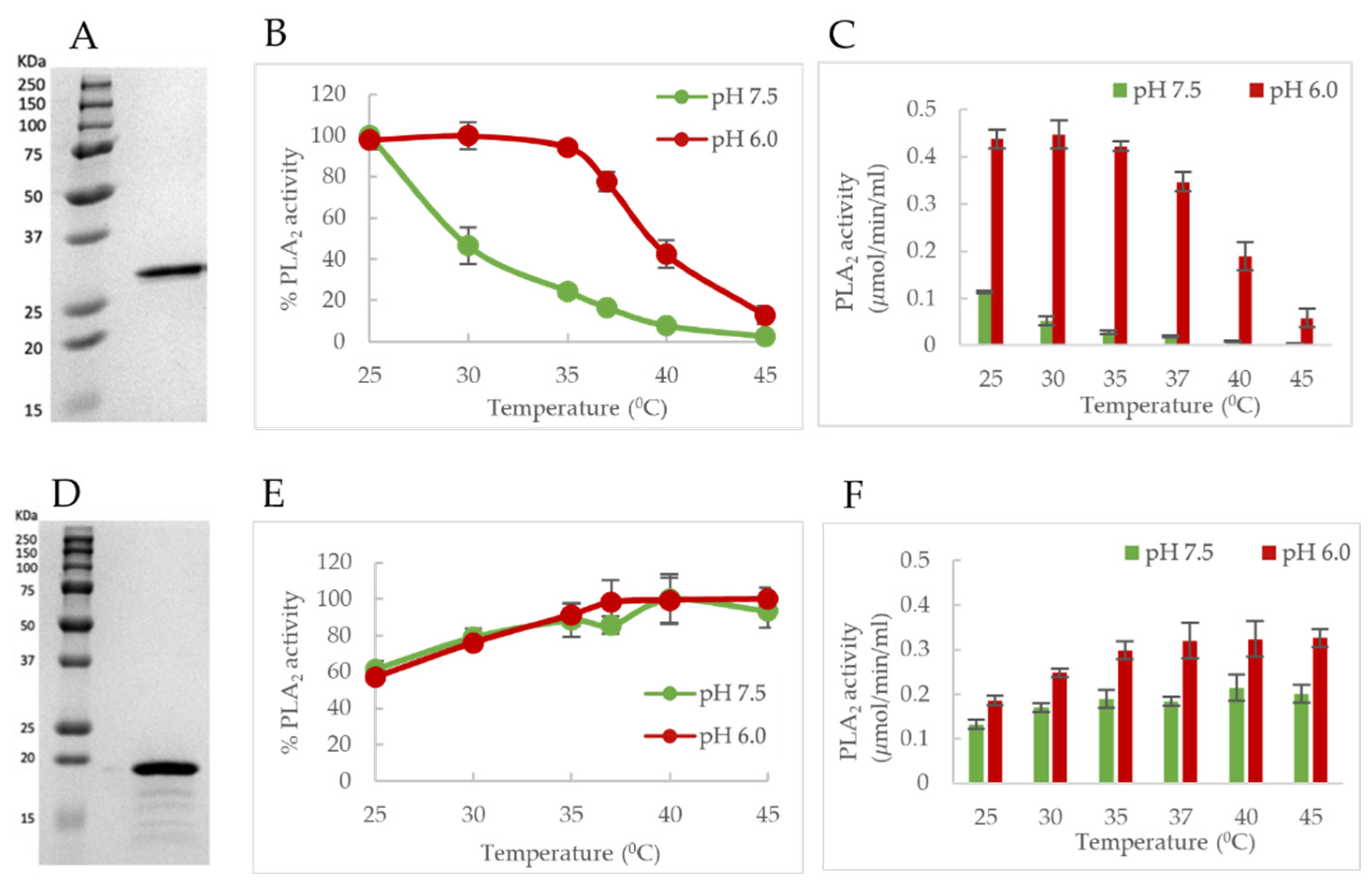 Viruses 14 01922 g006 550