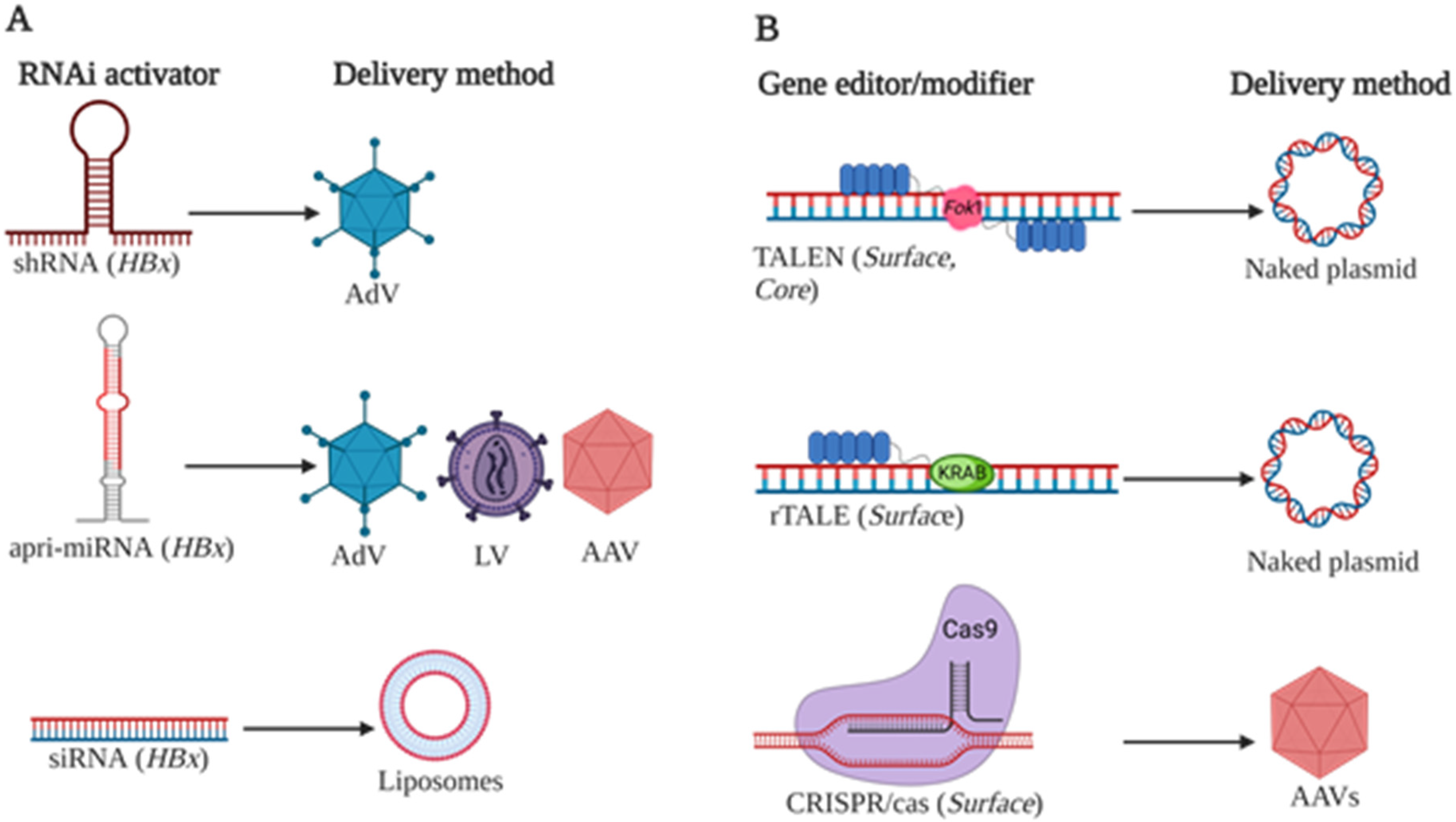 Viruses 14 01939 g001 Viruses 14 01939 g001