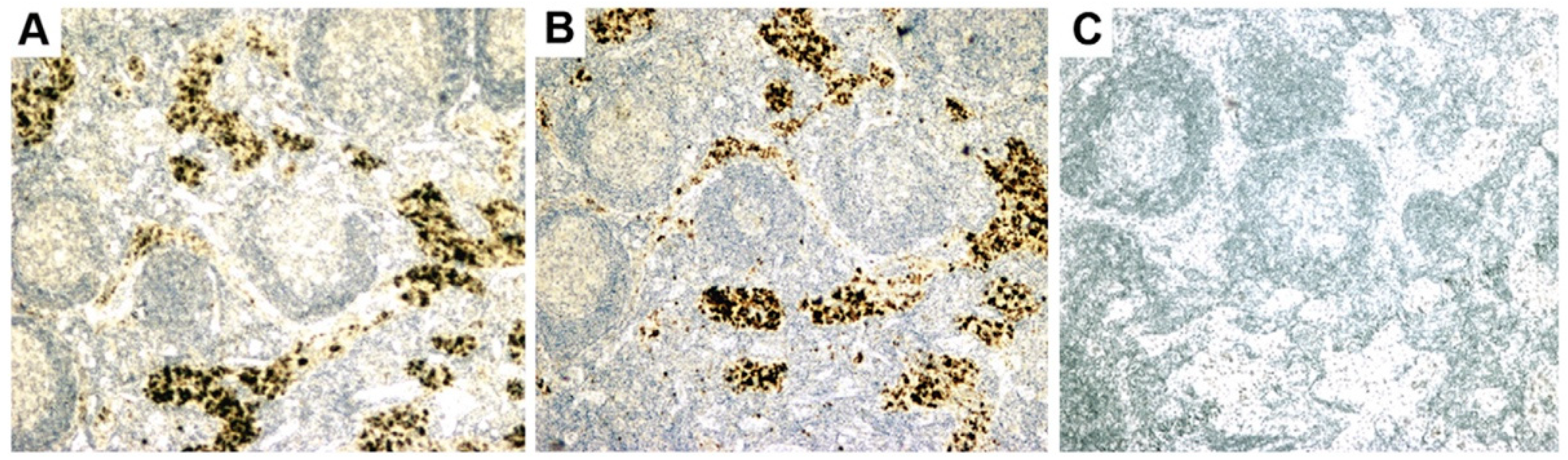 Viruses 14 01941 g004 Viruses 14 01941 g004