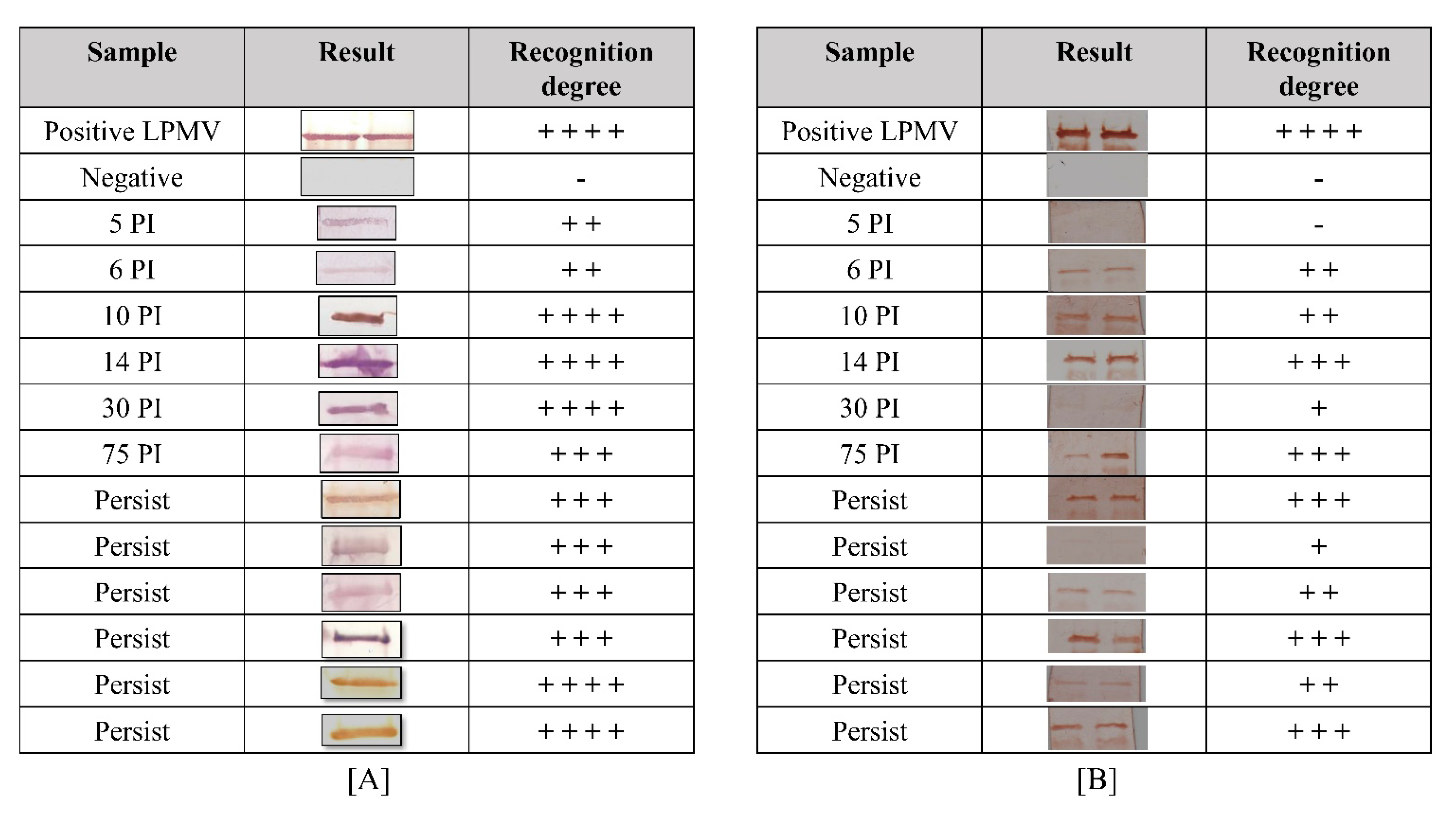 Viruses 14 01946 g007 Viruses 14 01946 g007