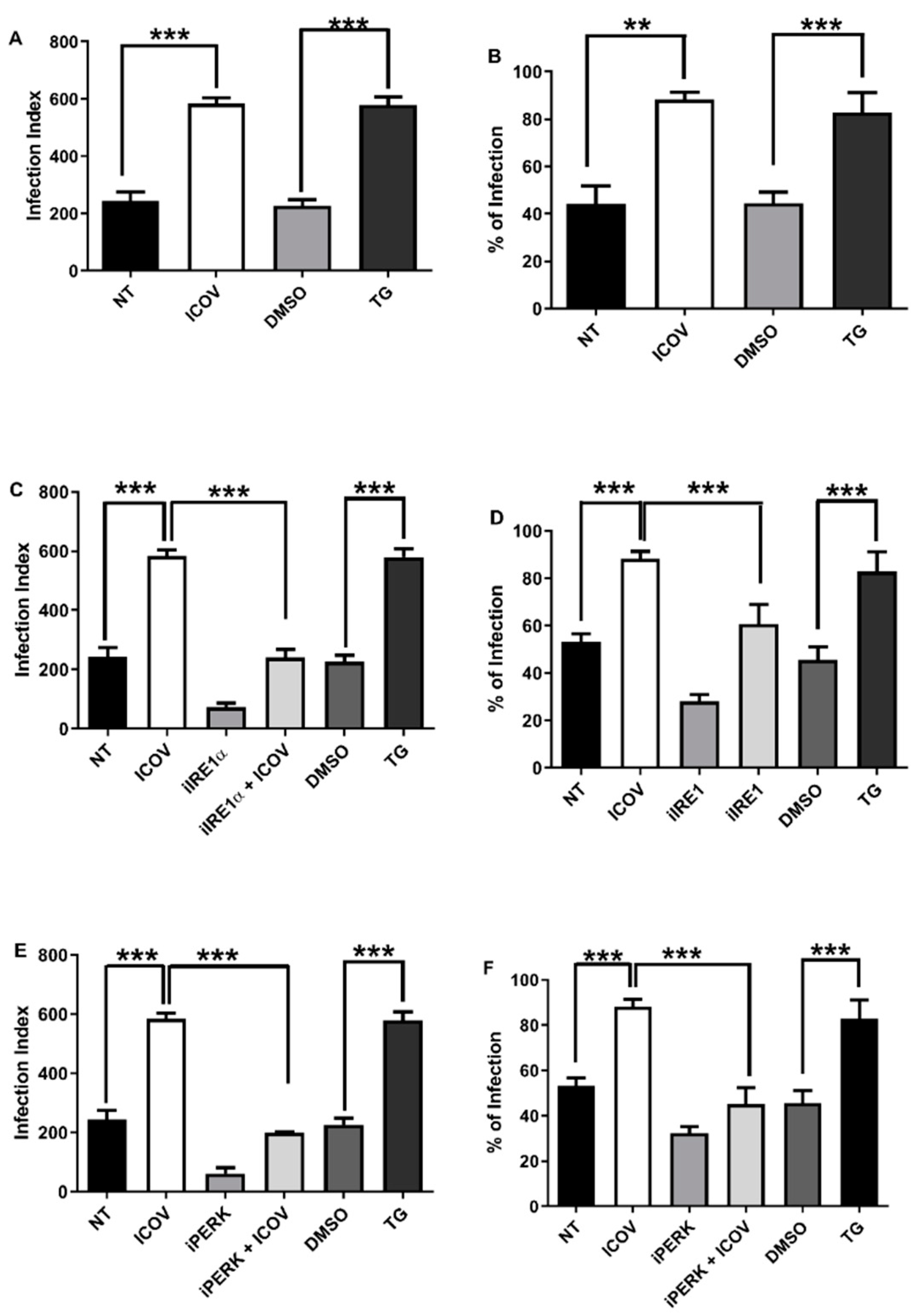 Viruses 14 01948 g002