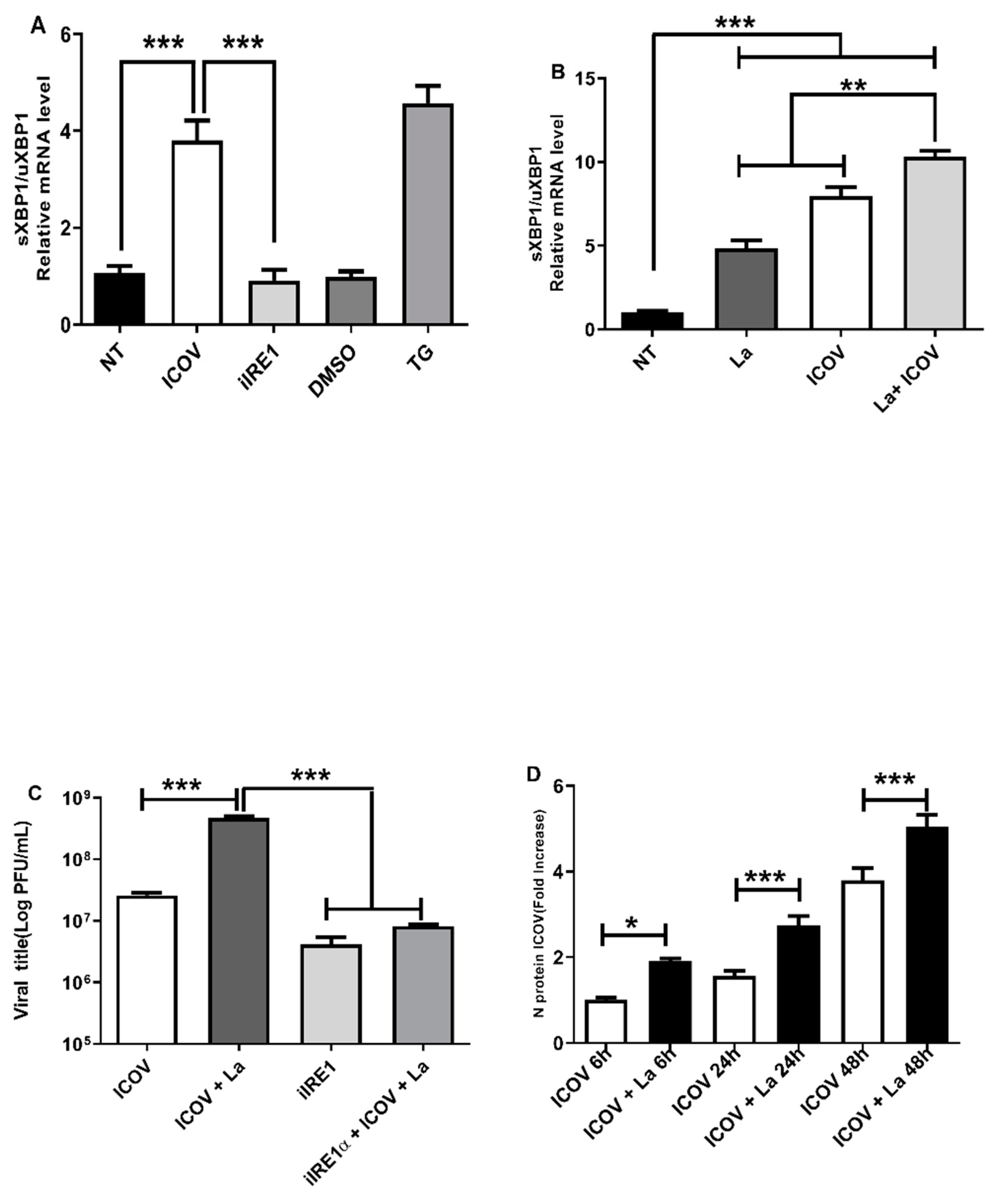 Viruses 14 01948 g003
