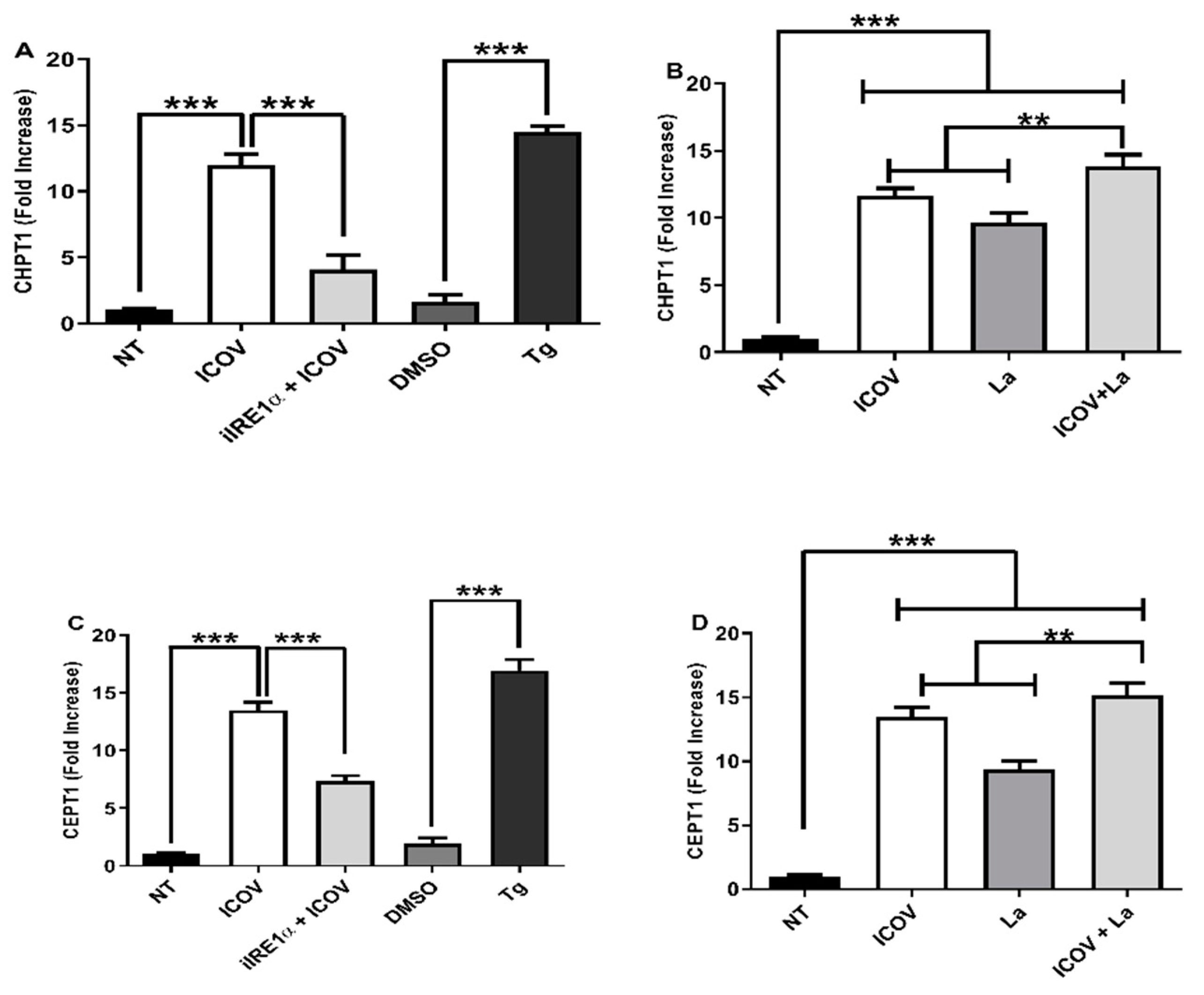 Viruses 14 01948 g004